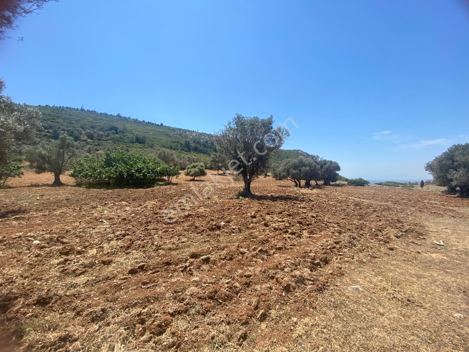 İzmir Bornovada Satılık Arsa - Görsel 27