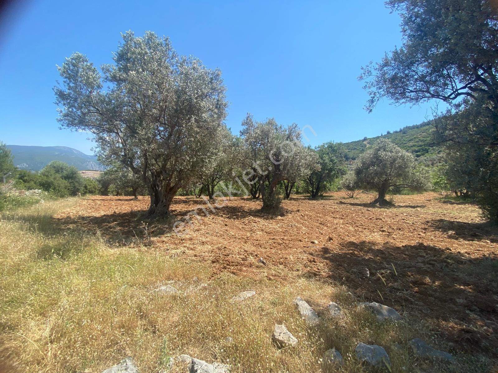 İzmir Bornovada Satılık Arsa - Görsel 30