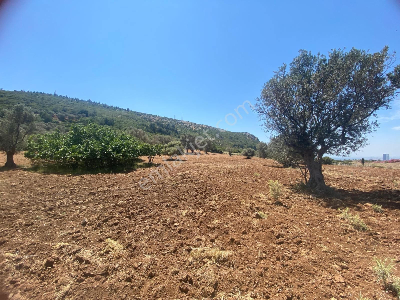 İzmir Bornovada Satılık Arsa - Görsel 9
