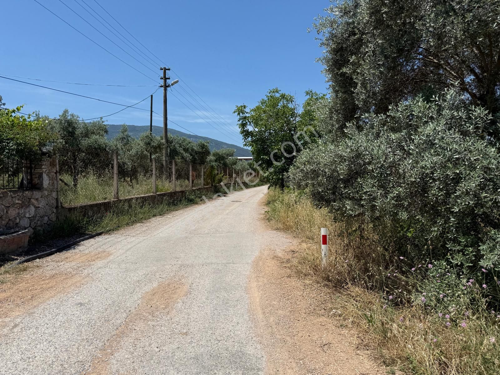 Menderes Değirmendere'de Satılık Hisse Tapu Tarla