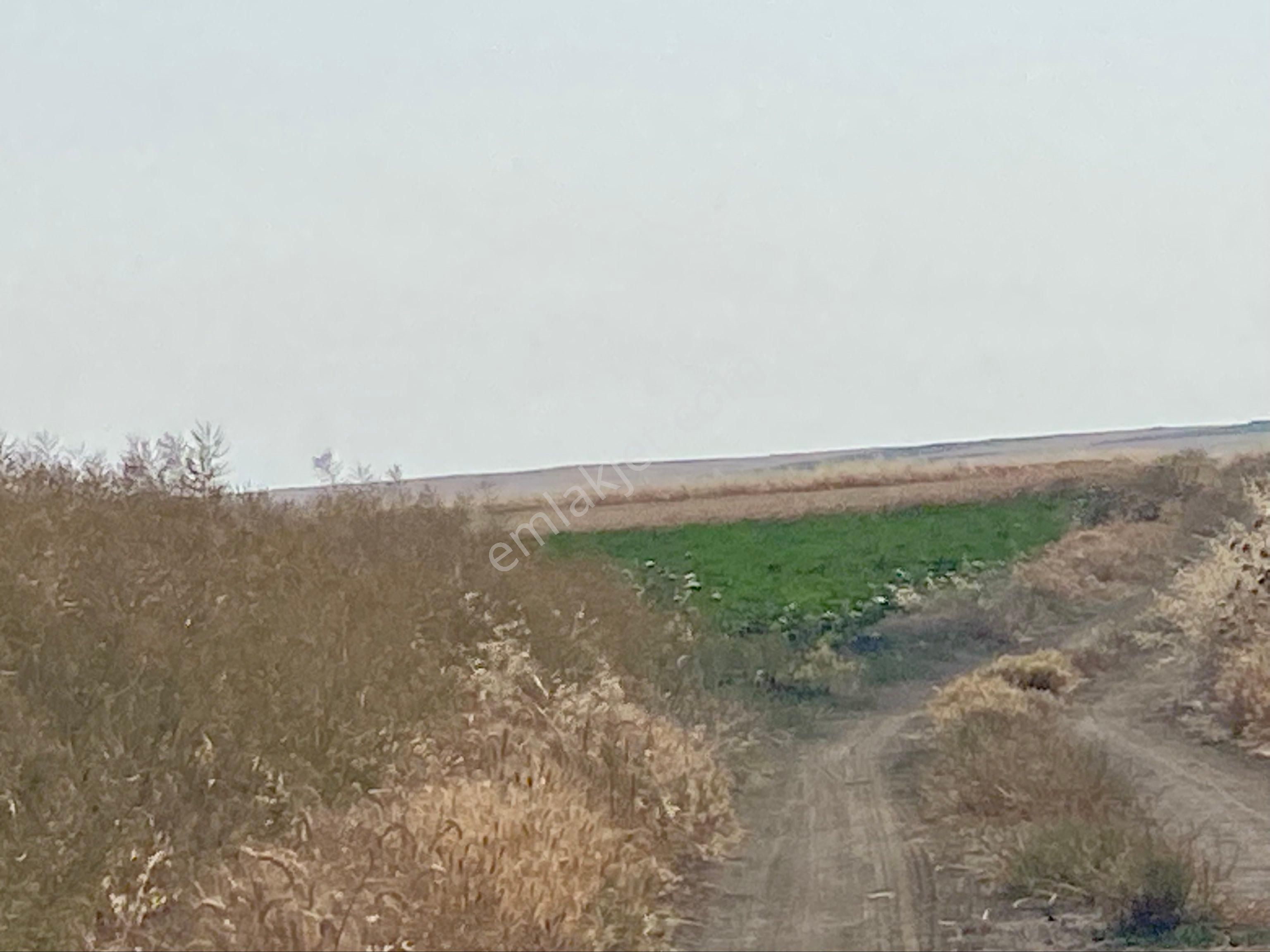 İstanbul Silivri Değirmenköy Sahibinden Satılık 210m2 - Görsel 3