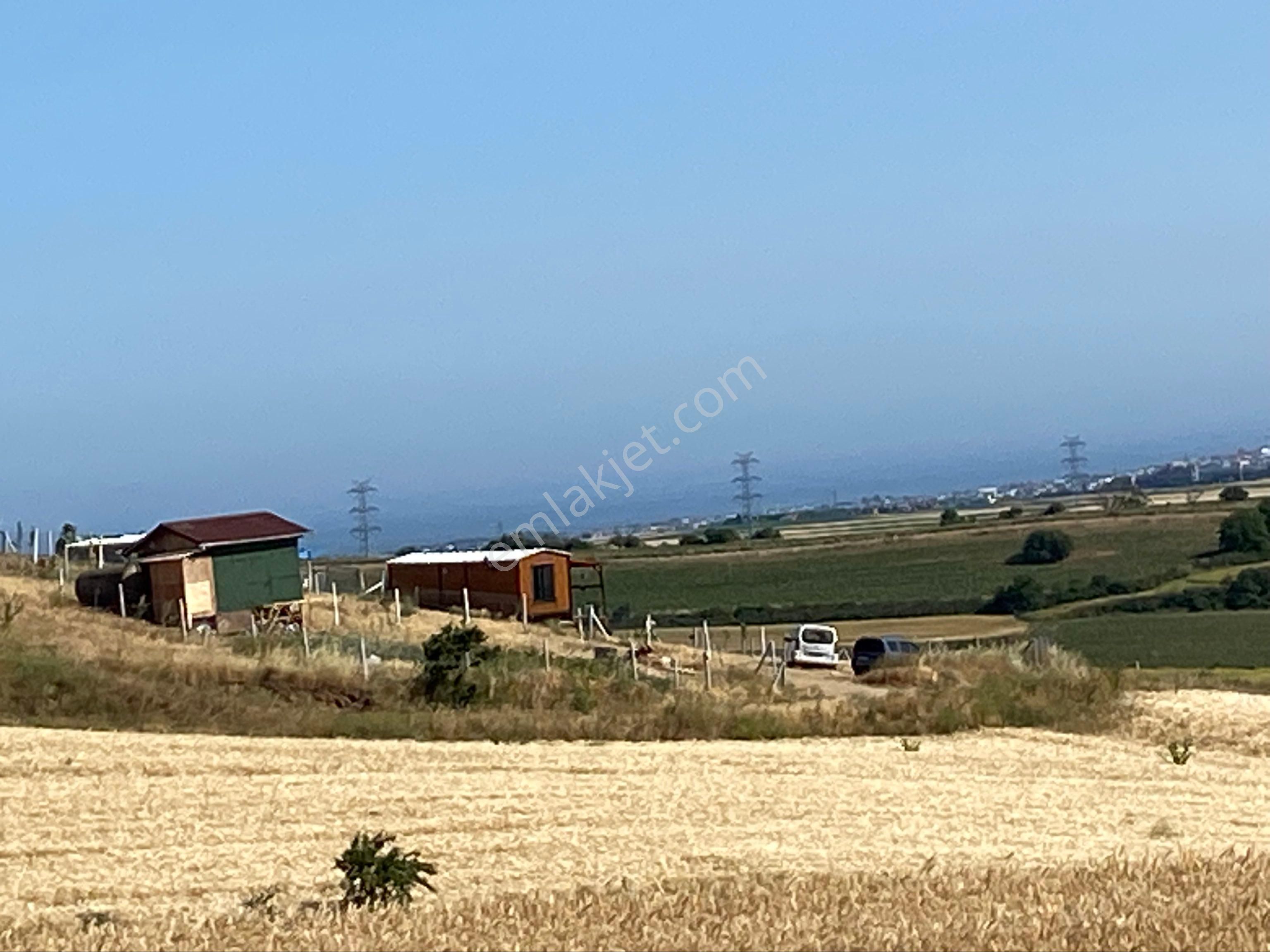 İstanbul Silivri Değirmenköy Sahibinden Satılık 210m2 - Görsel 9