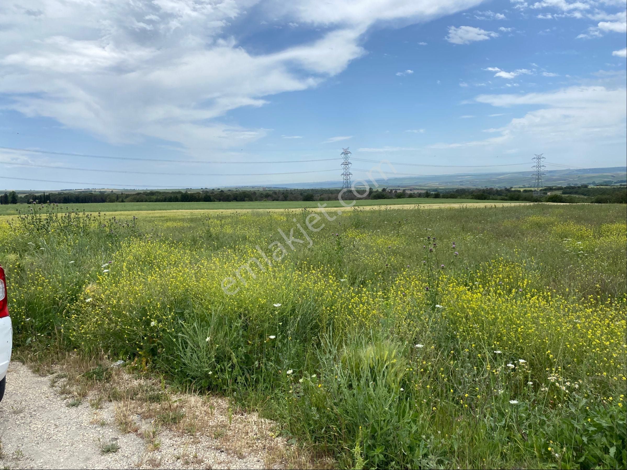 İstanbul Silivri Değirmenköy Sahibinden Satılık 210m2 - Görsel 22