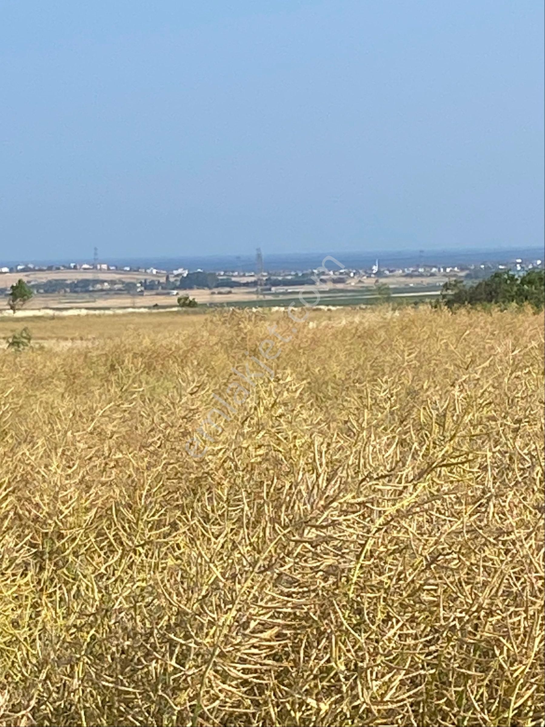 İstanbul Silivri Değirmenköy Sahibinden Satılık 210m2 - Görsel 4