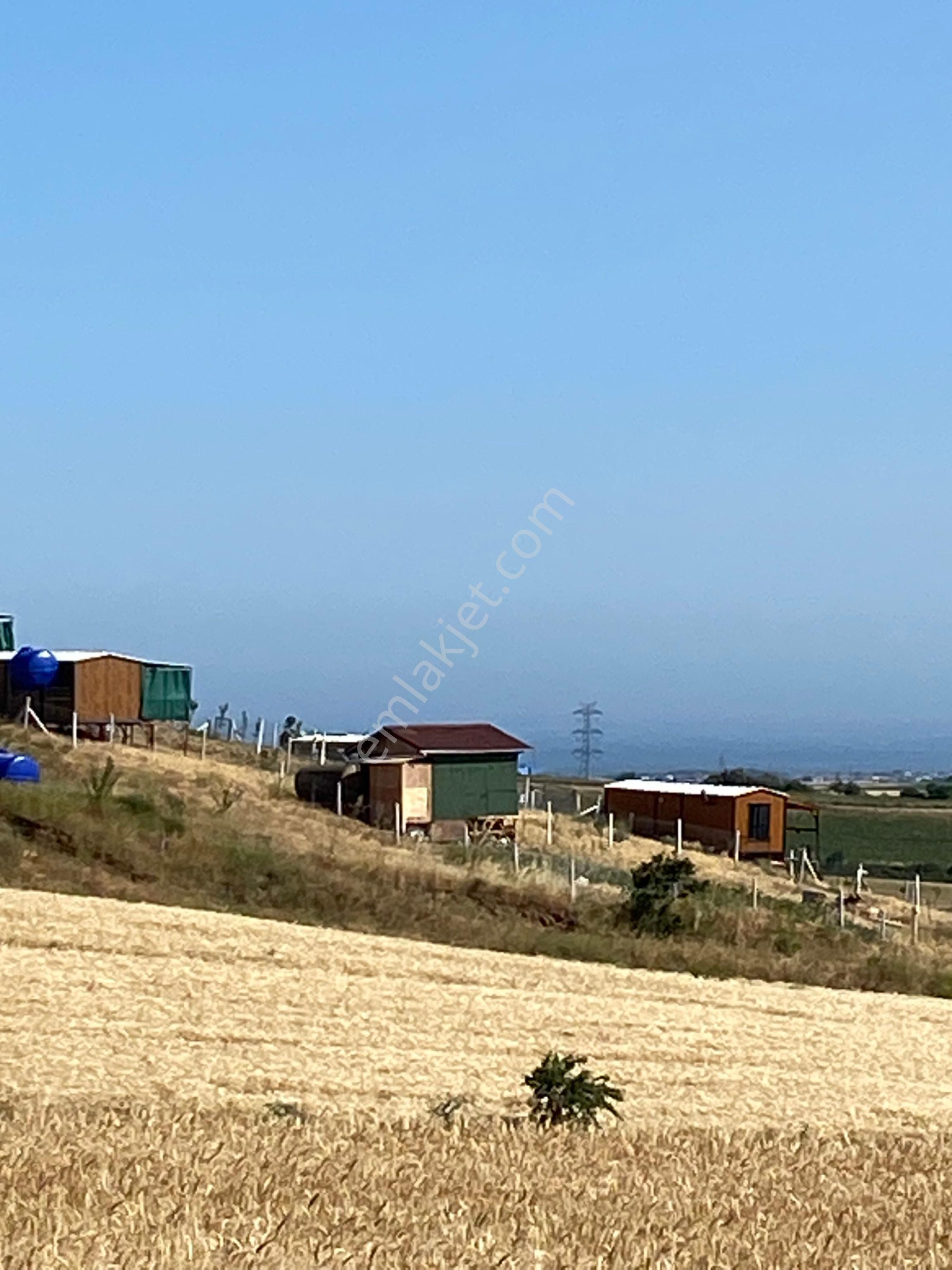 İstanbul Silivri Değirmenköy Sahibinden Satılık 210m2 - Görsel 8