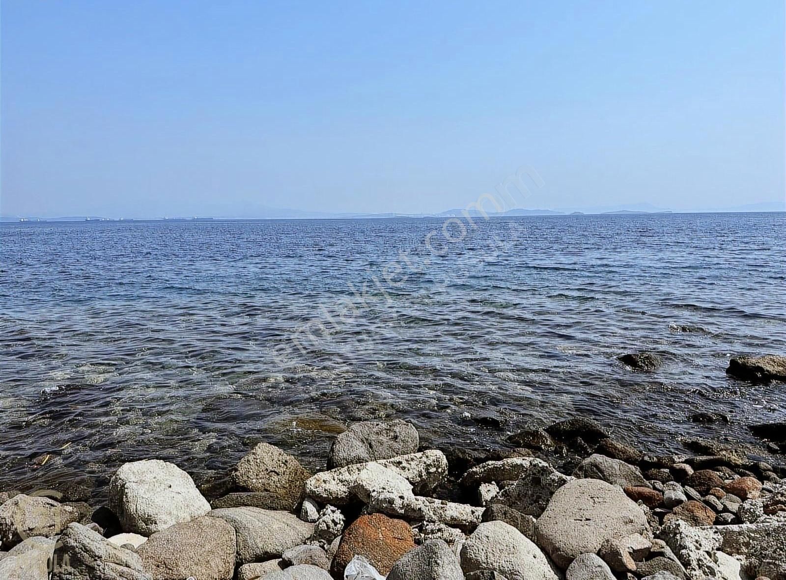 Çandarlı Sahile Yürüme Mesafesinde 440 M² Köşe Parsel Fırsat