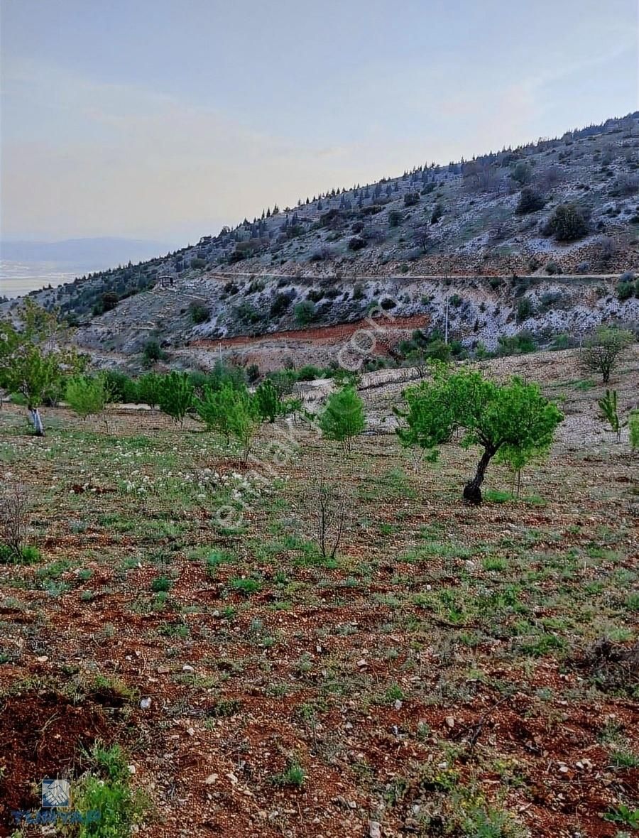 Binevler Turyaptan Gafarlı'da Manzaralı 2300m2 Satılık Bağ Yeri