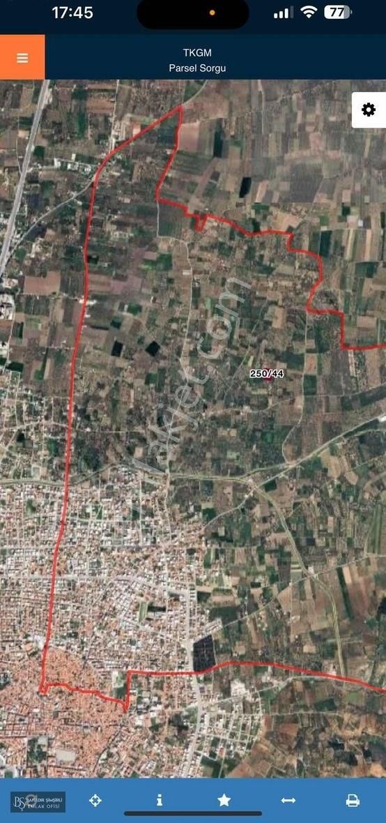 B.ş'den Efendi Mahallesinde Satılık 3128 M2 Zeytinli Tarla - Görsel 4