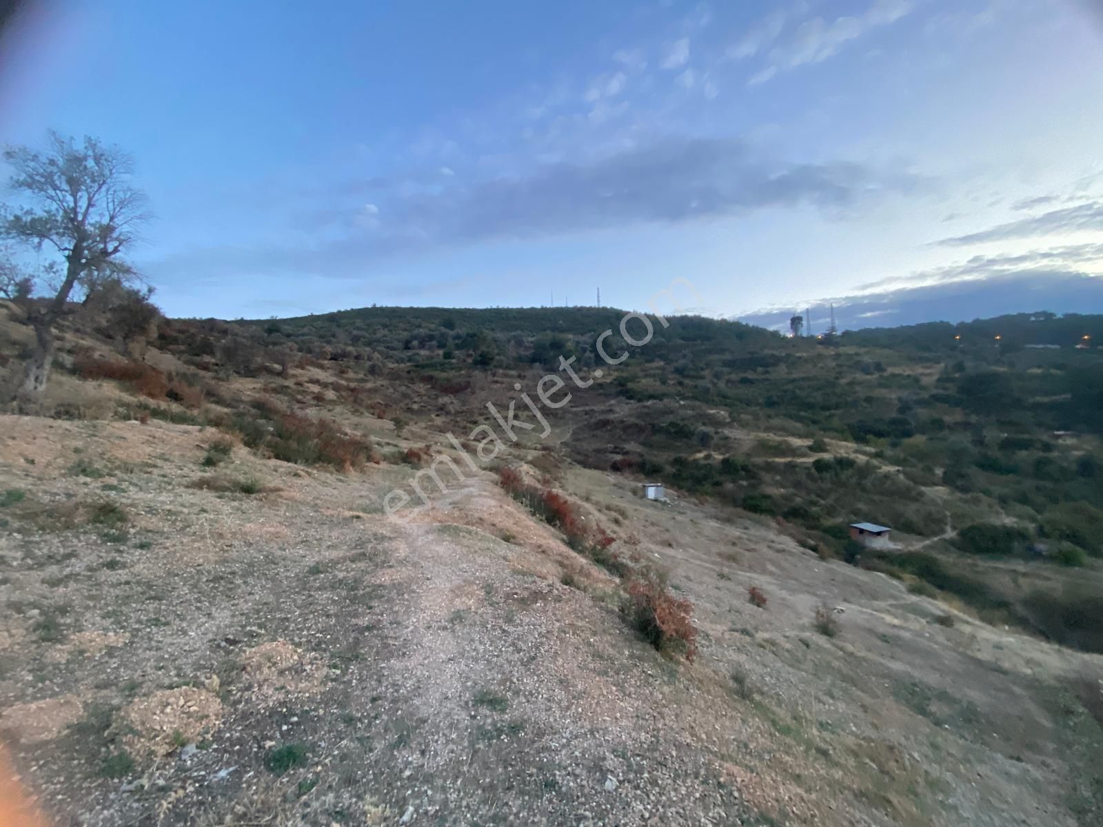 İzmir Bornovada Satılık Arsa - Görsel 14
