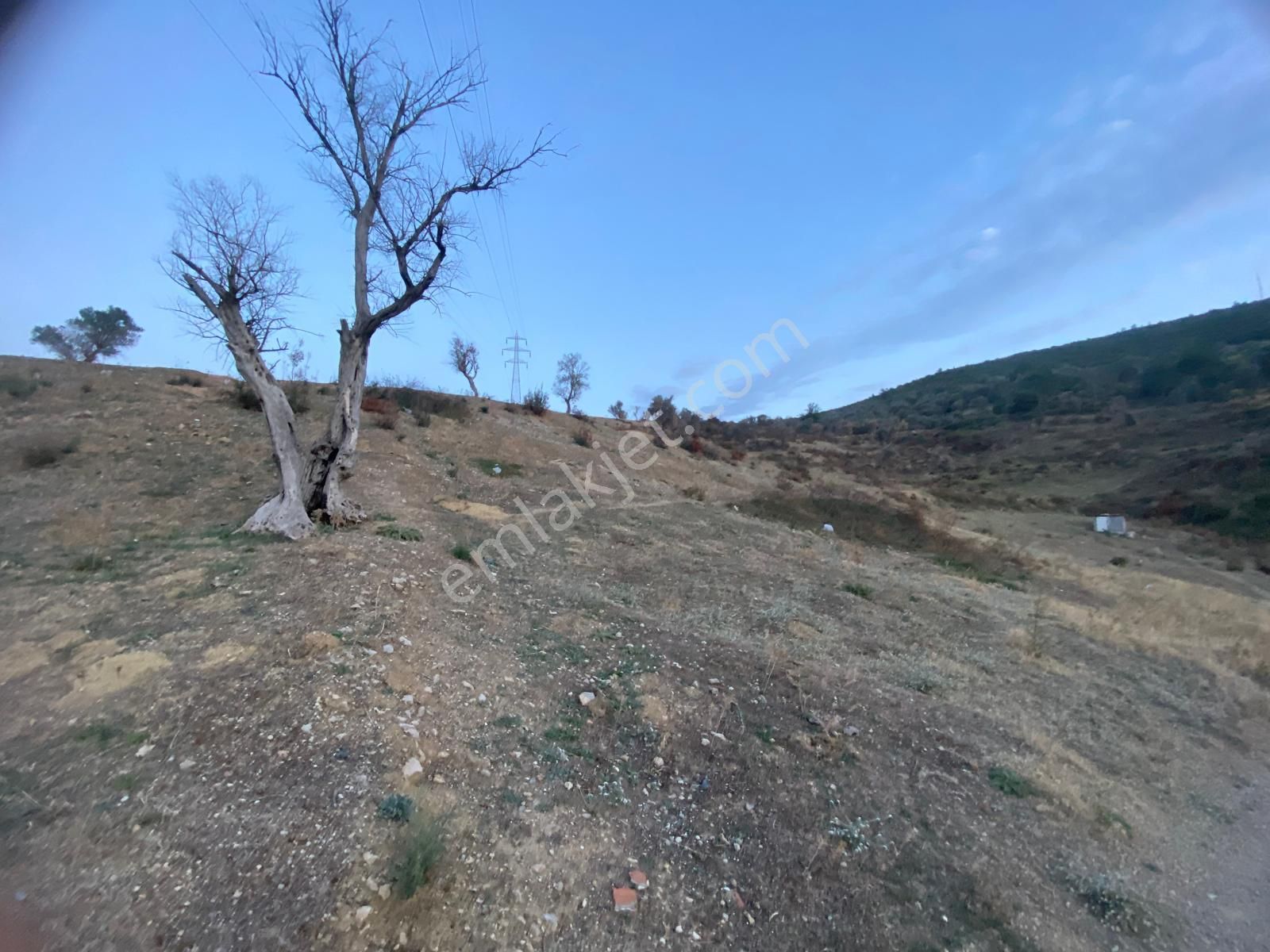 İzmir Bornovada Satılık Arsa - Görsel 10