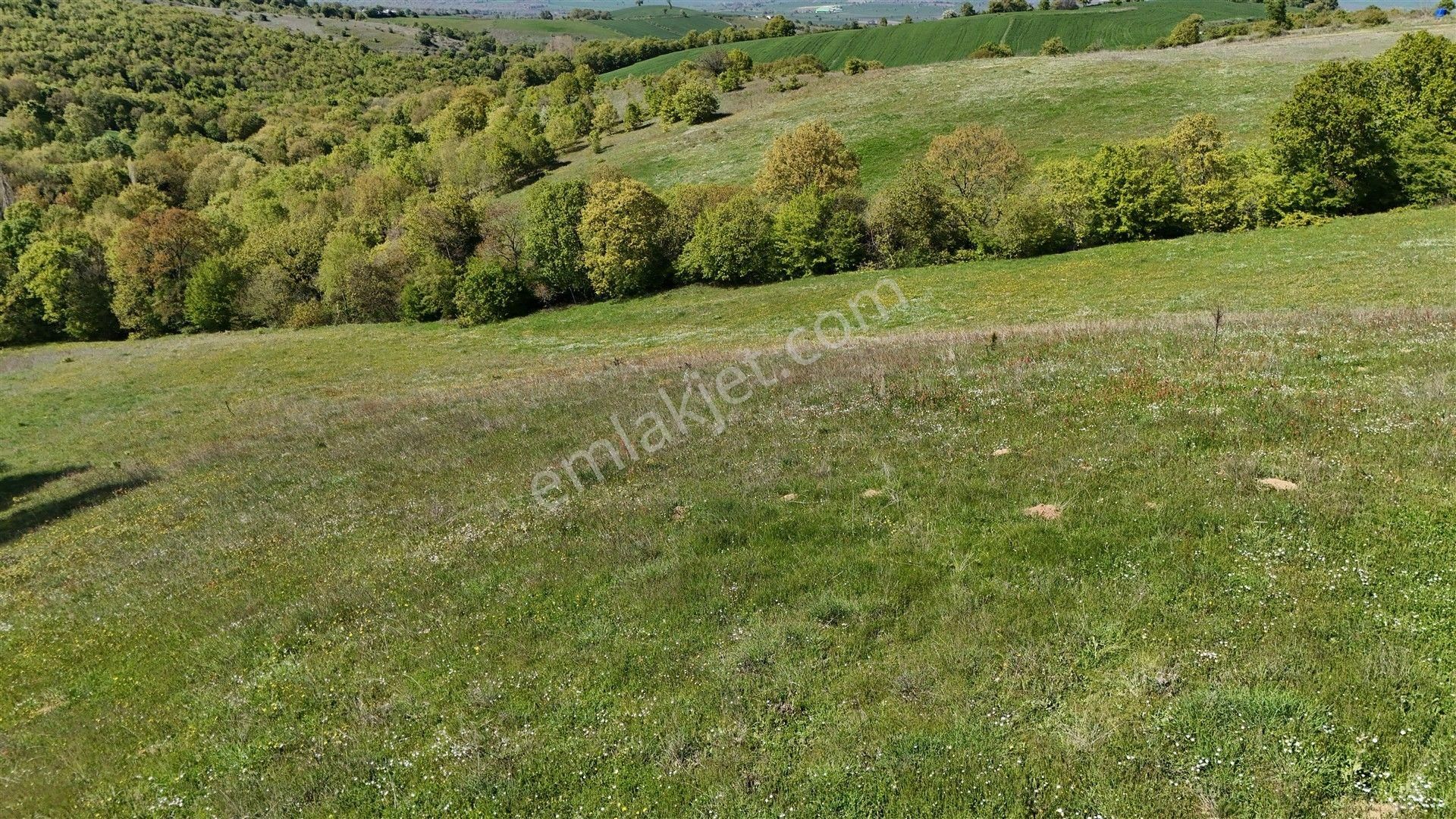 8.488 M2 Tarla Ormana Cepheli Bağ-bahçe, Hobi Bahçe, Göl Manzara