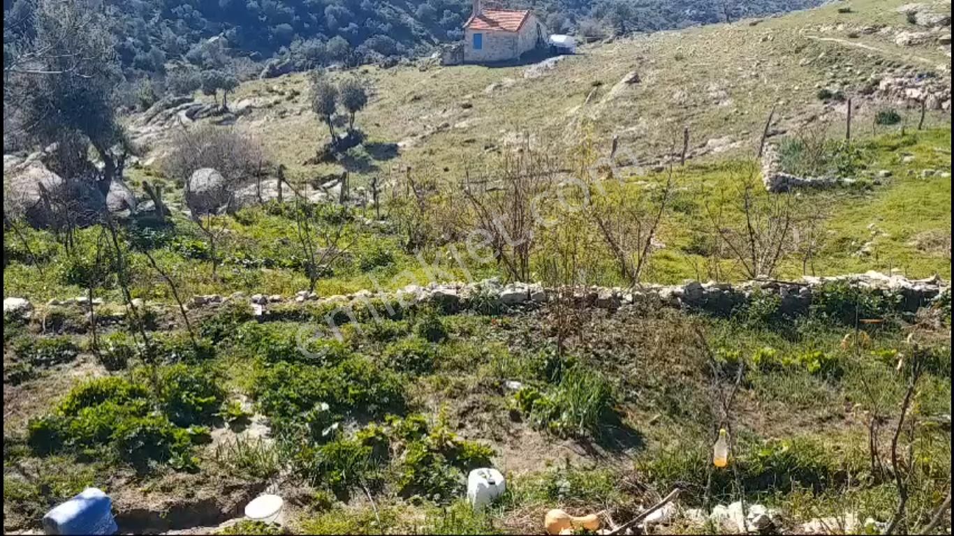 Aydın Söke Kisirde Doğal Yaşam İsteyenler İçin 3 Dönüm Arsa