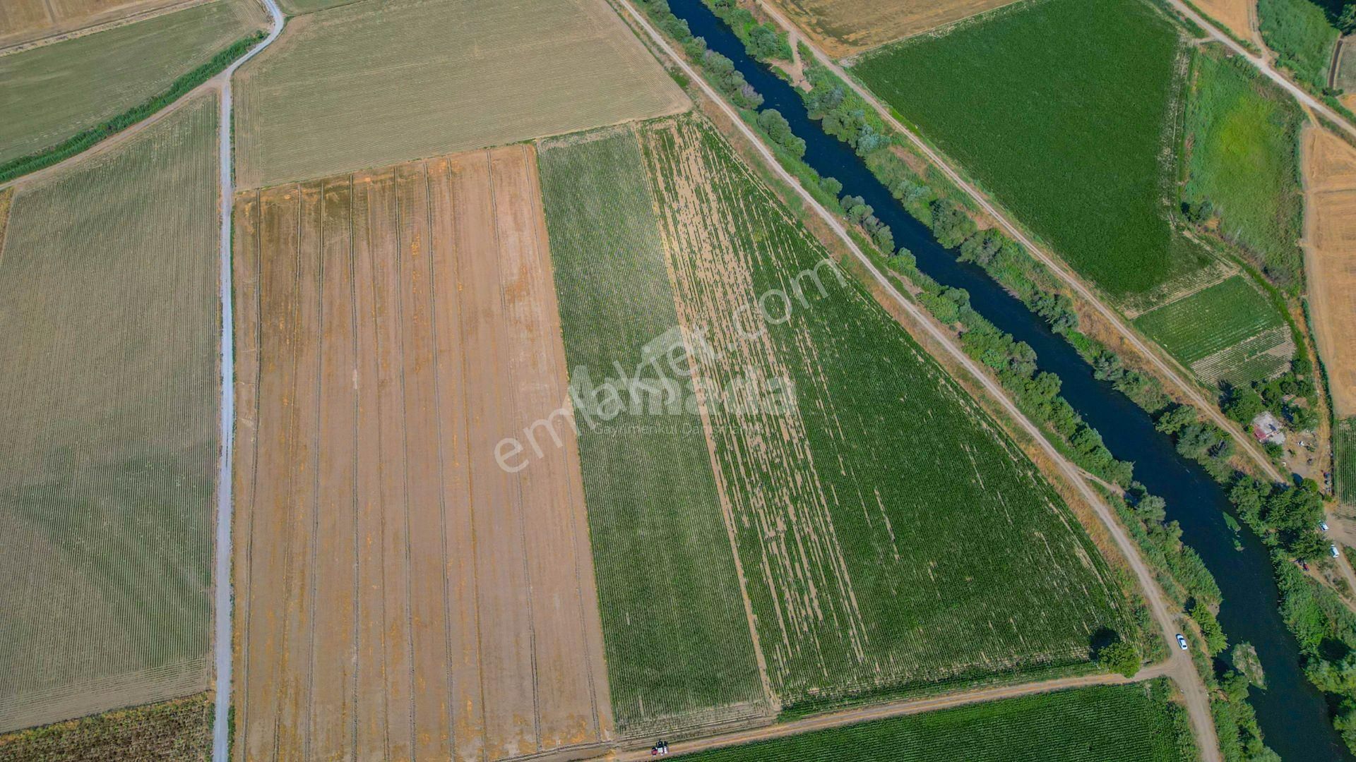 Aydın'da Fırsat Fiyatlı Satılık Arazi - Görsel 5