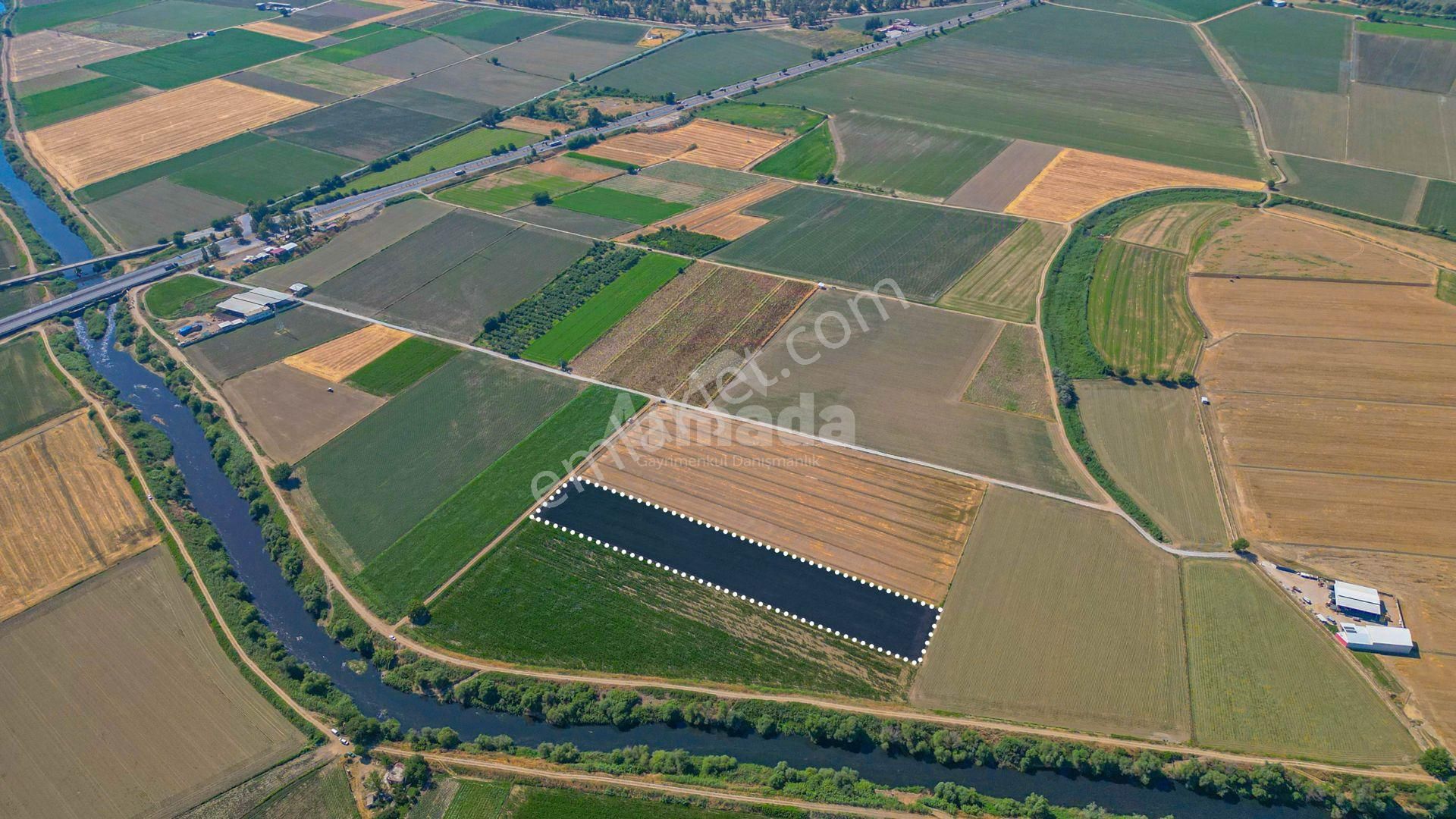 Aydın'da Fırsat Fiyatlı Satılık Arazi - Görsel 3