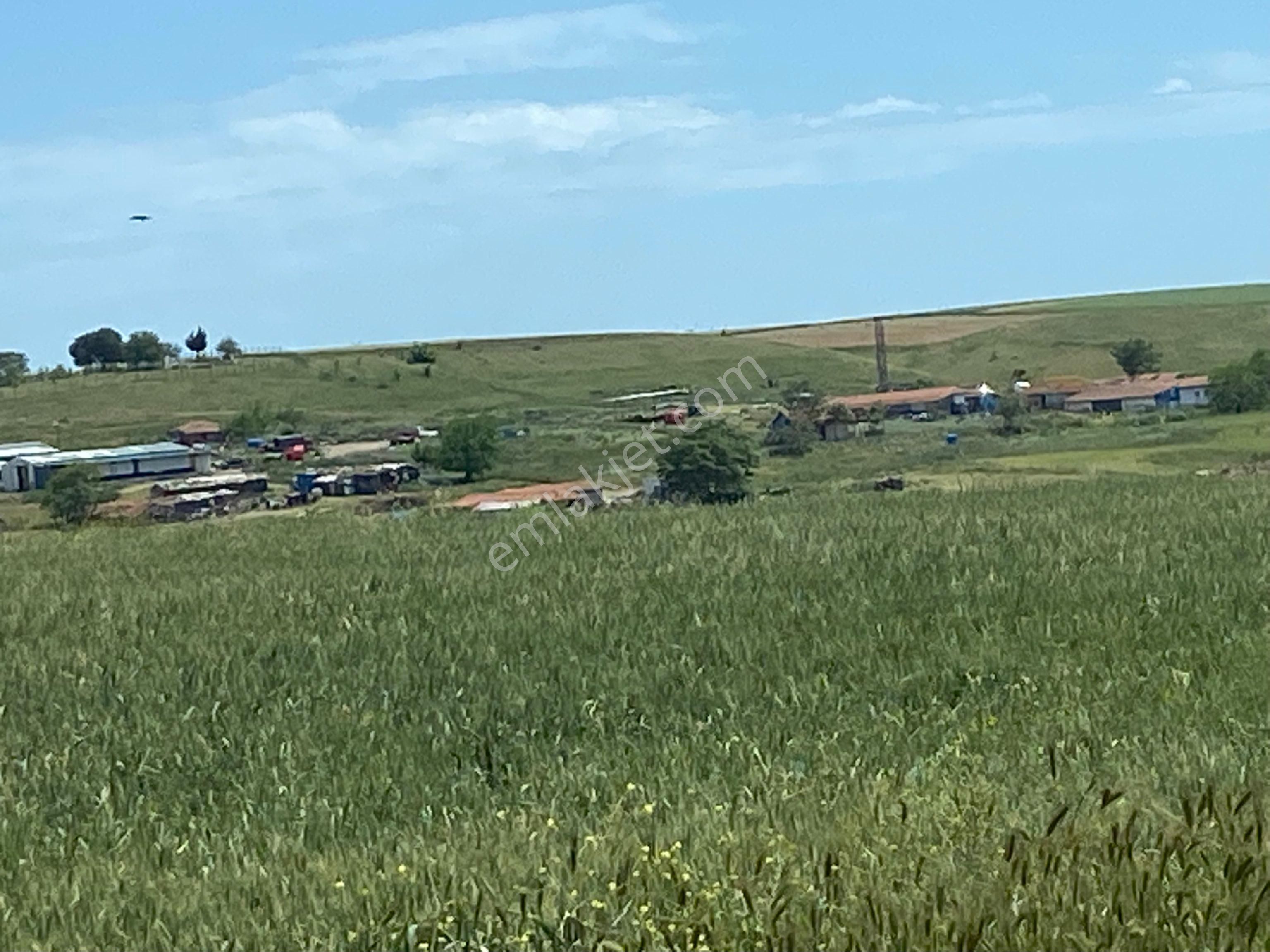 İstanbul Silivri Değirmenköy Sahibinden Satılık 282m2 - Görsel 28