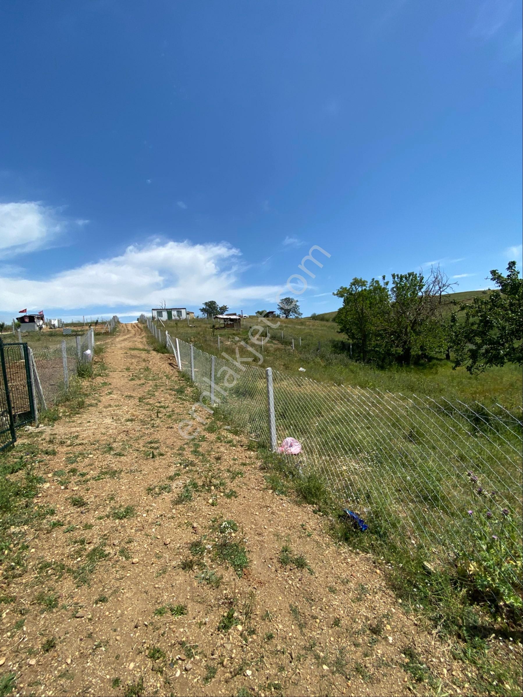 İstanbul Silivri Değirmenköy Sahibinden Satılık 282m2 - Görsel 3