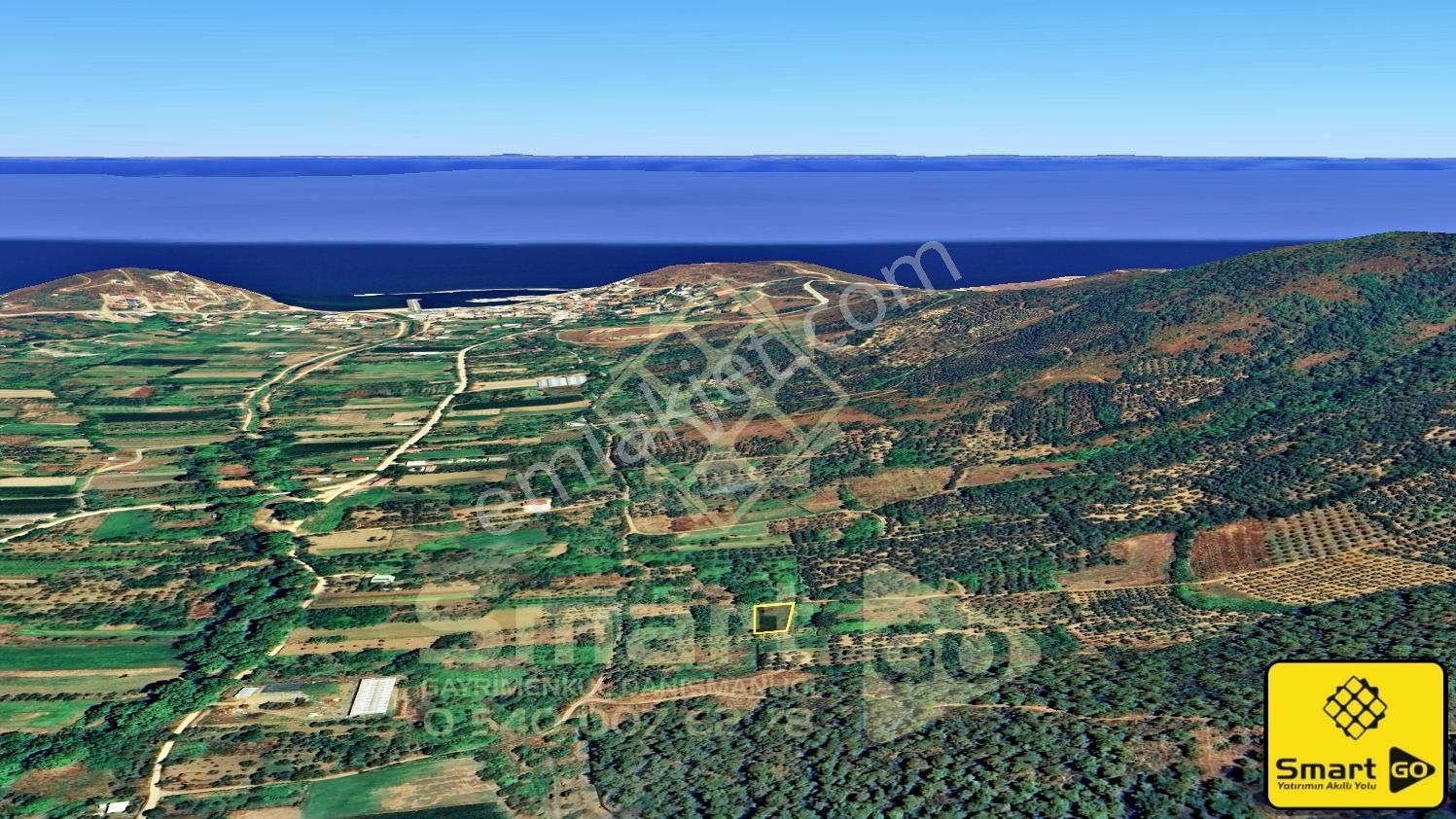 Şahinburgaz Çayağzı'nda 537 M² Satılık Zeytinlik
