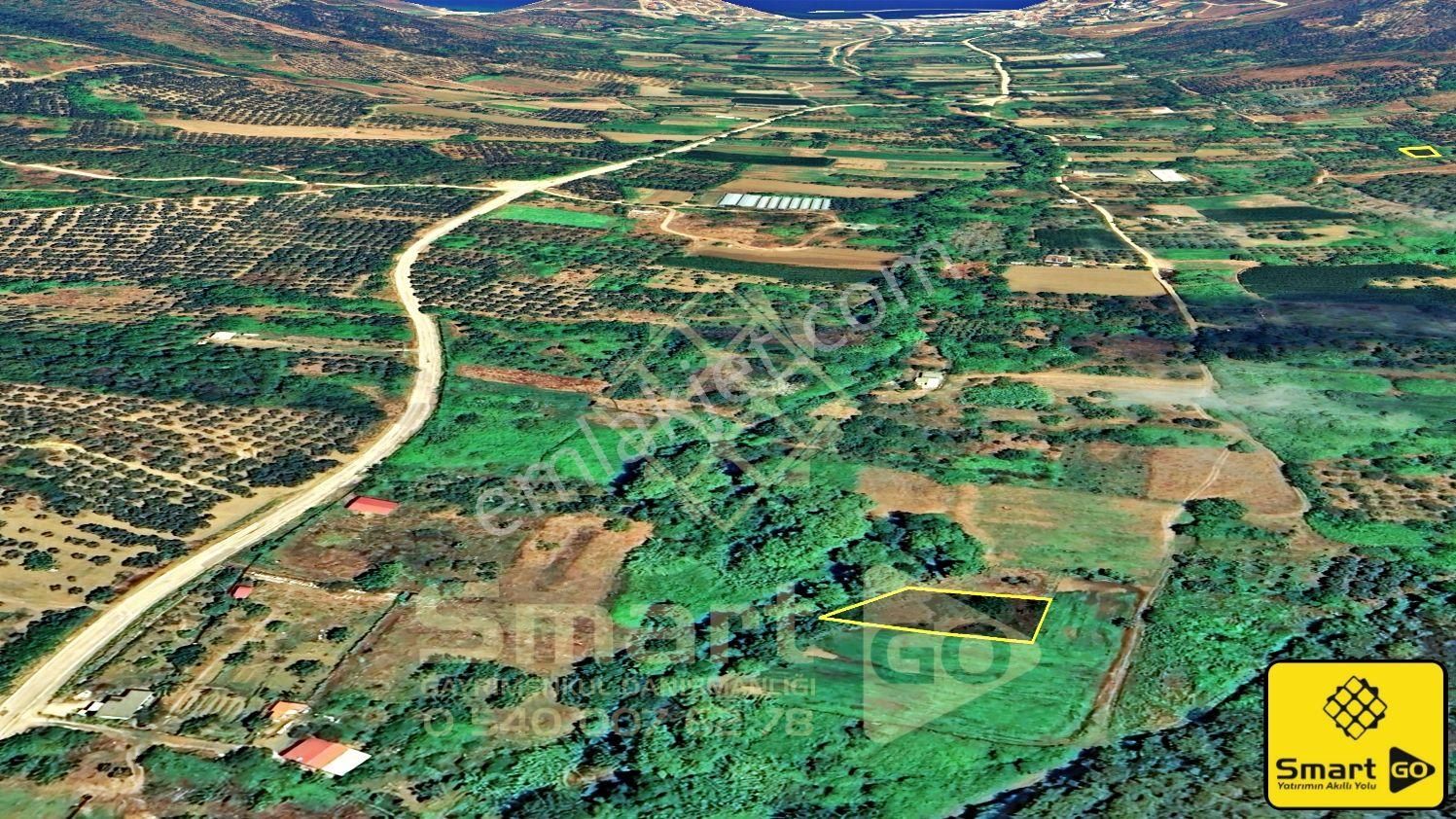 Şahinburgaz Çayağzı'nda 619 M² Satılık Zeytinlik