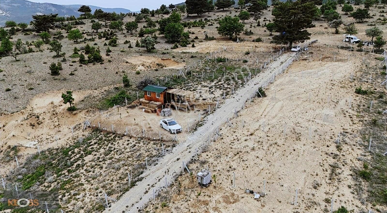 Kızılören De Satılık Bahçe - Görsel 9
