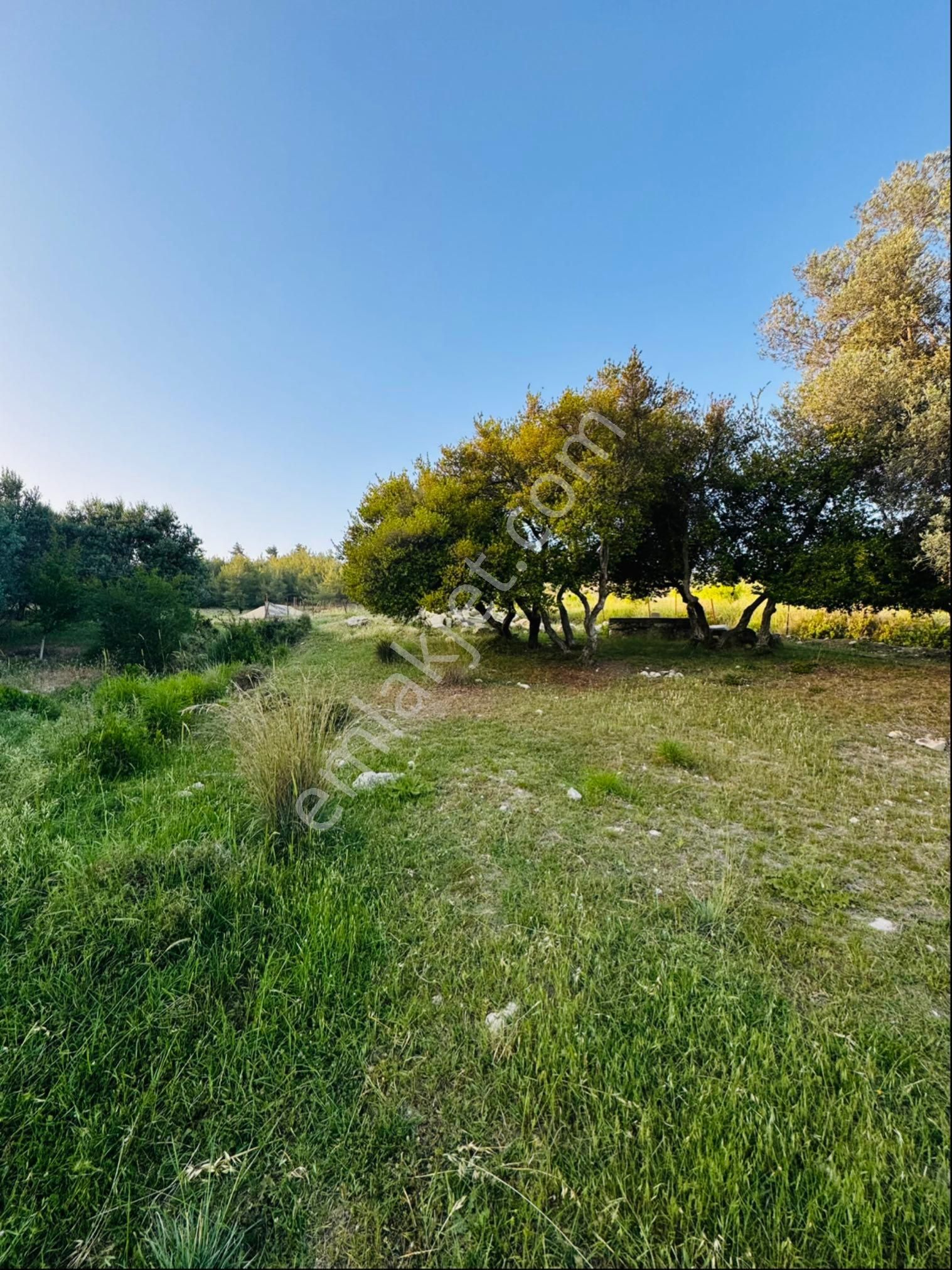 Sahibinden Cemilli'de Müstakil Tapulu Şehir Ve Deniz Manzaralı Arsa - Görsel 7