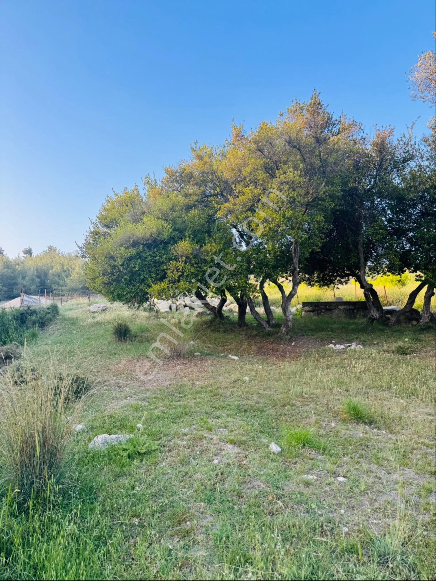 Sahibinden Cemilli'de Müstakil Tapulu Şehir Ve Deniz Manzaralı Arsa - Görsel 6
