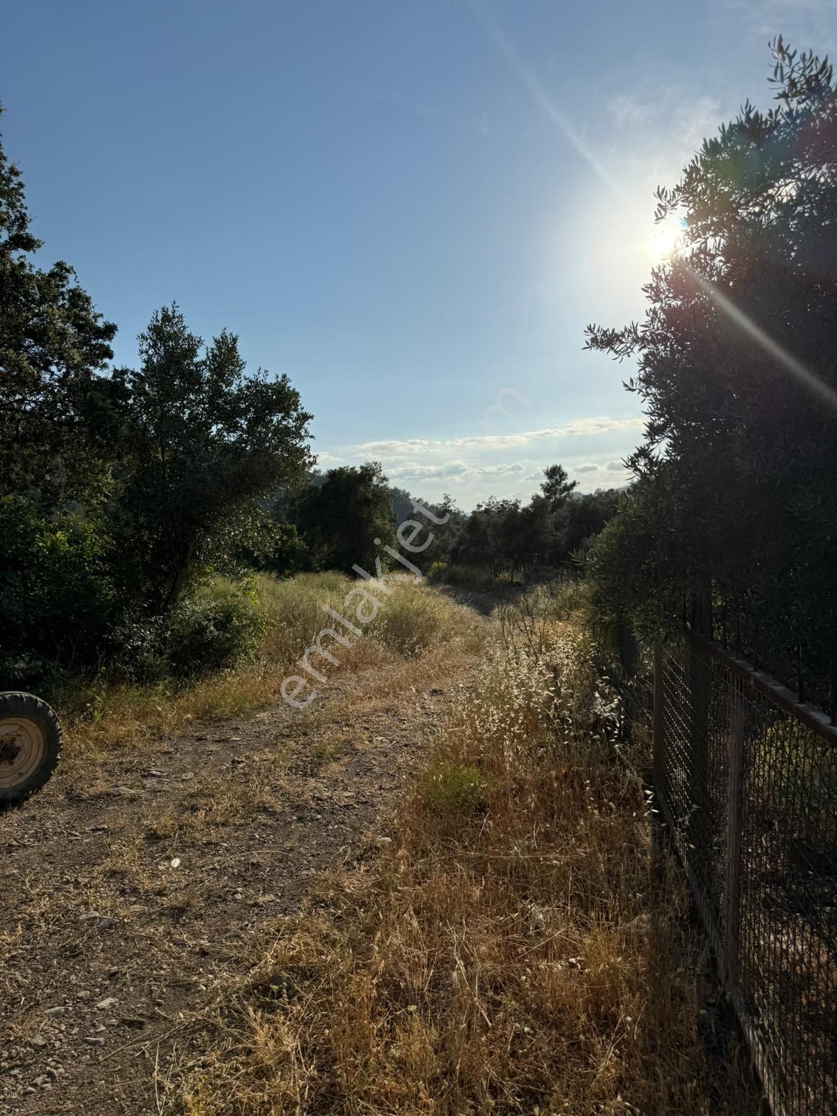 Dalaman Akkaya Satılık İmarlı Arsa - Görsel 3