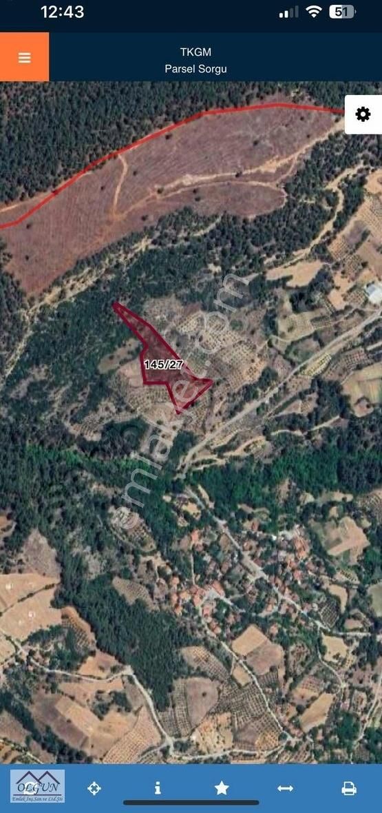Muğla Menteşe Bozyer'de Satılık 10610 Metrekare Yatırımlık Tarla