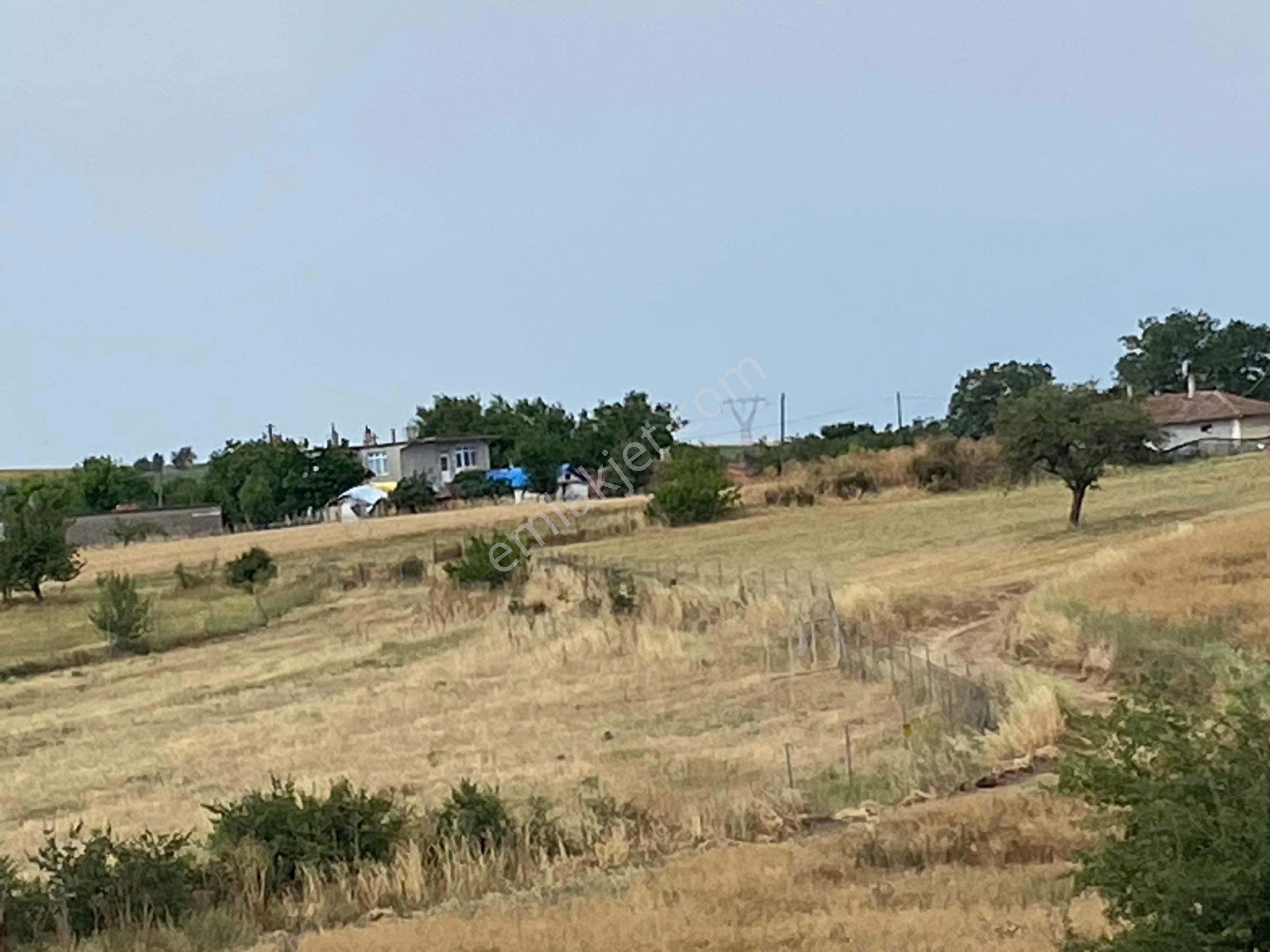 Tekirdağ Marmaraereğlısı Çeşmeli Sahibinden Satılık Arsa - Görsel 28