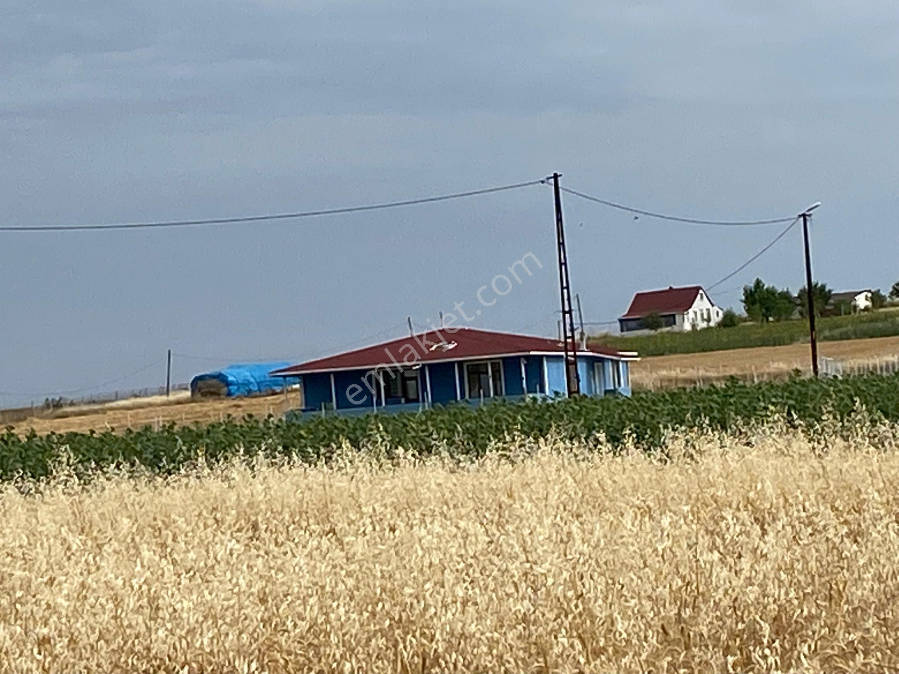 Tekirdağ Marmaraereğlısı Çeşmeli Sahibinden Satılık Arsa - Görsel 5