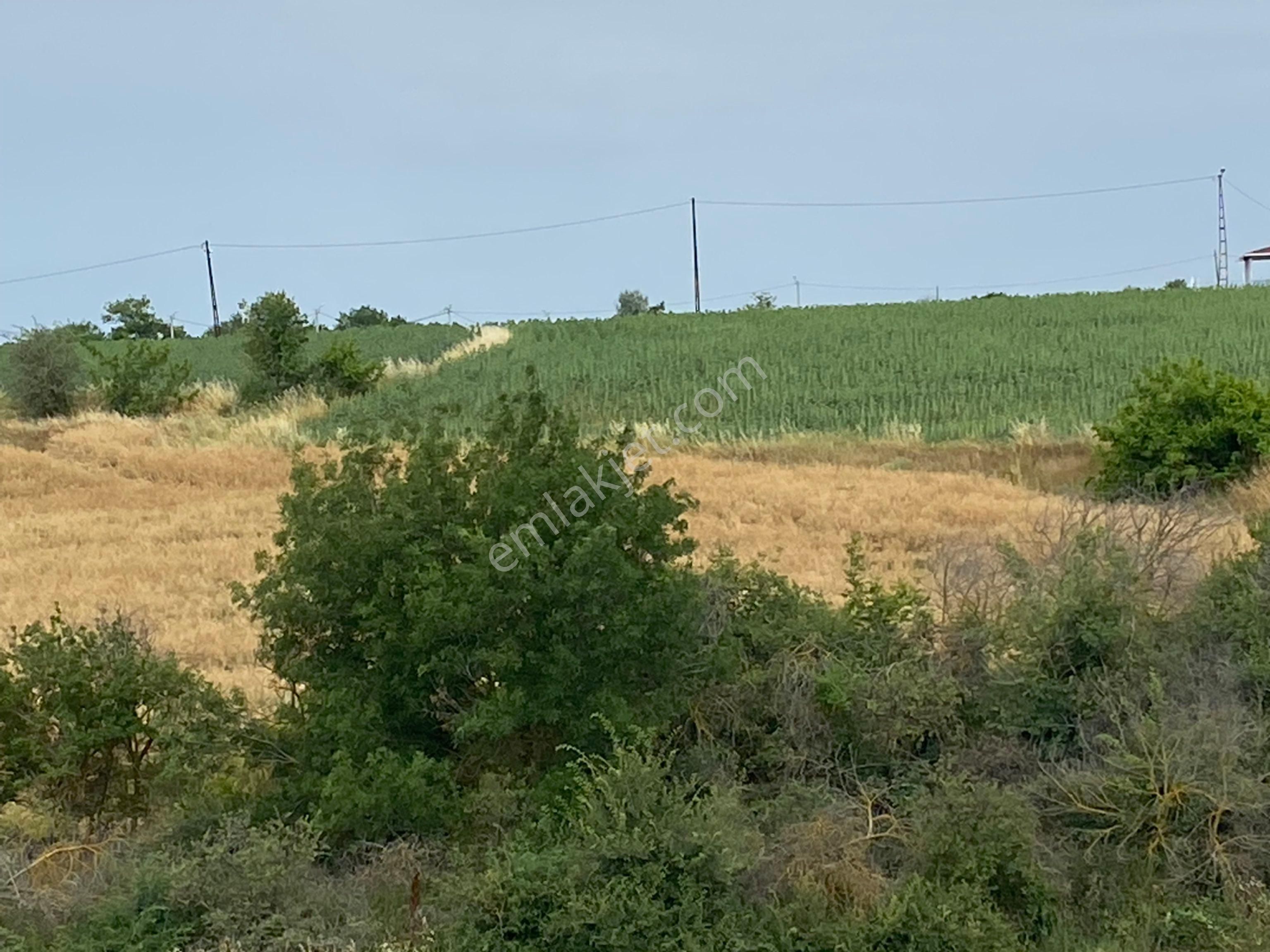 Tekirdağ Marmaraereğlısı Çeşmeli Sahibinden Satılık Arsa - Görsel 32