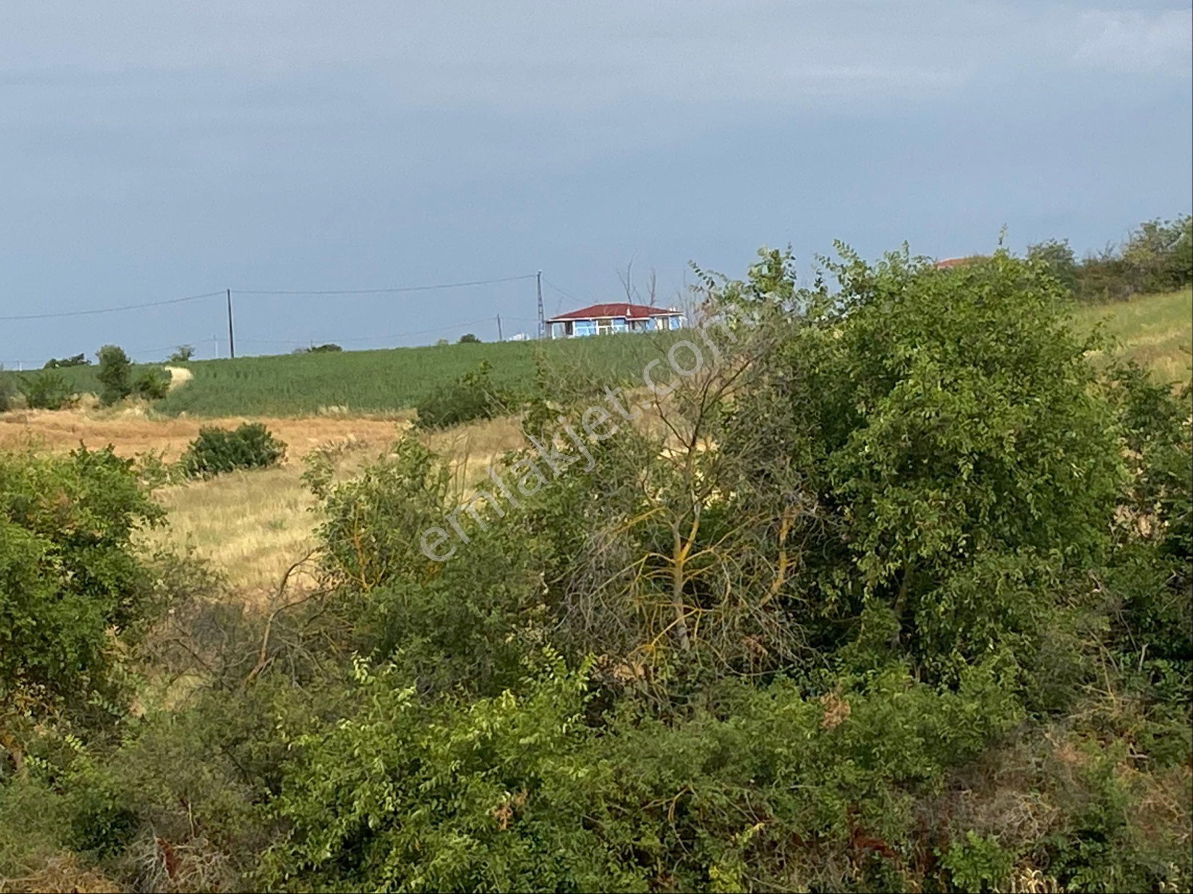 Tekirdağ Marmaraereğlısı Çeşmeli Sahibinden Satılık Arsa - Görsel 14
