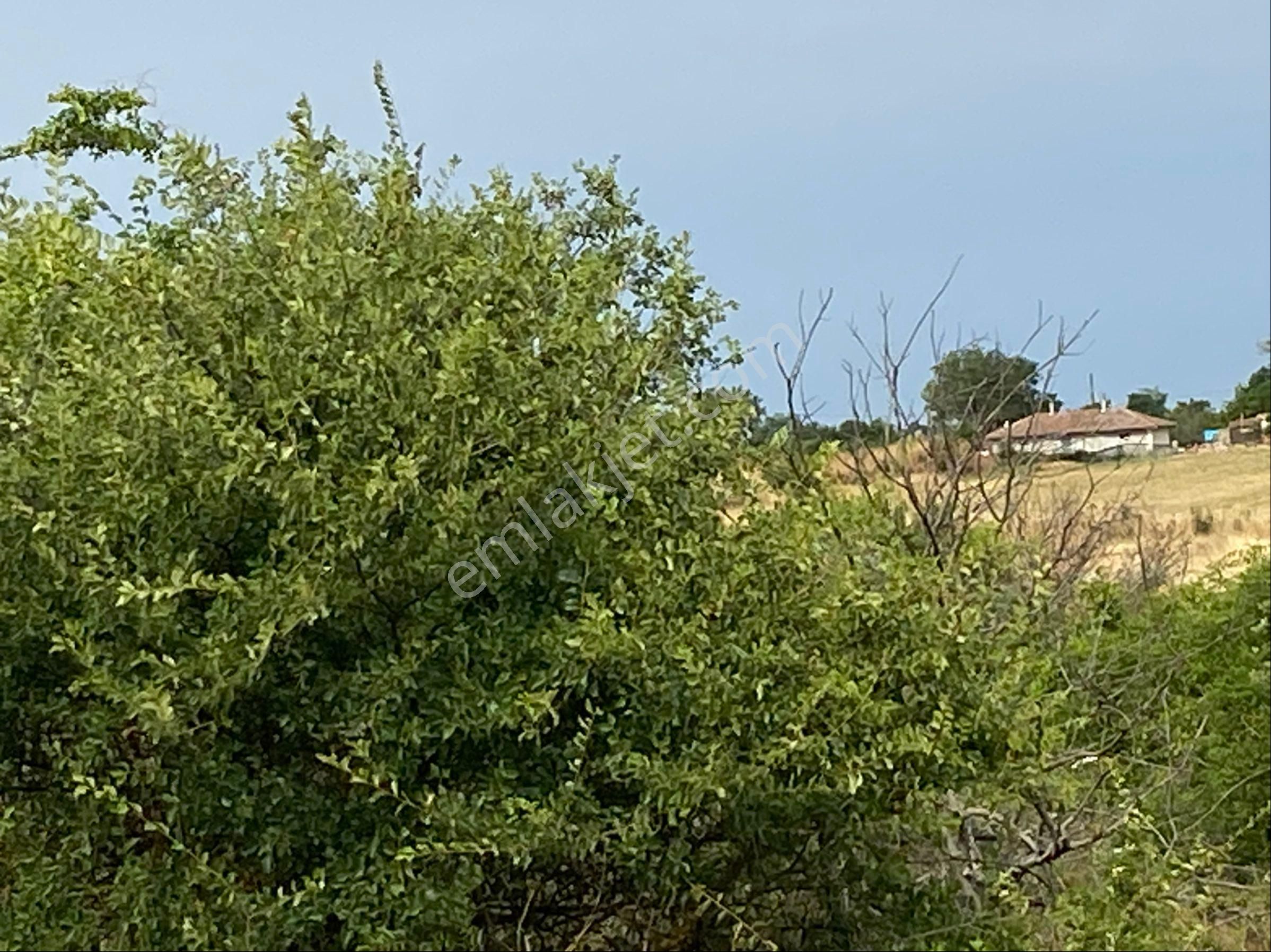 Tekirdağ Marmaraereğlısı Çeşmeli Sahibinden Satılık Arsa - Görsel 6