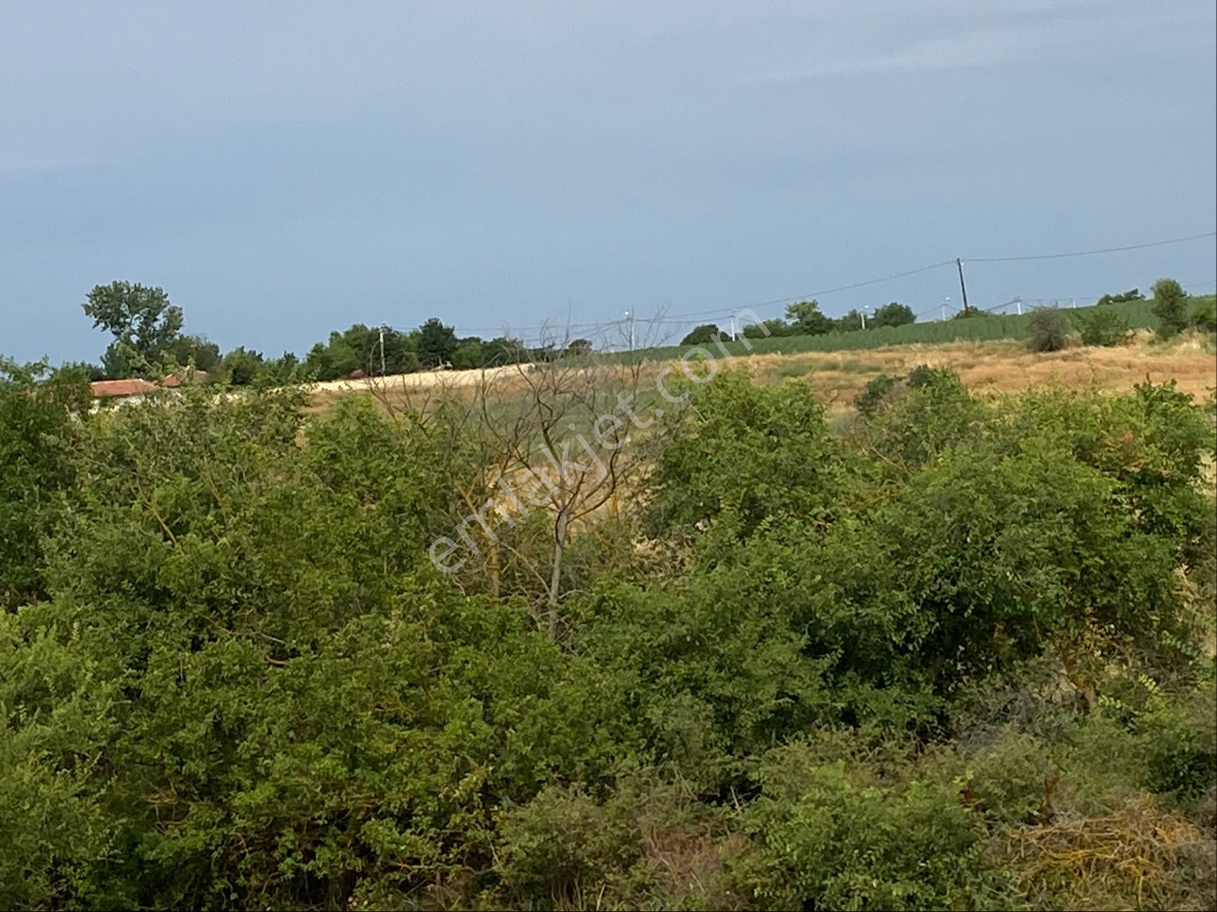 Tekirdağ Marmaraereğlısı Çeşmeli Sahibinden Satılık Arsa - Görsel 19