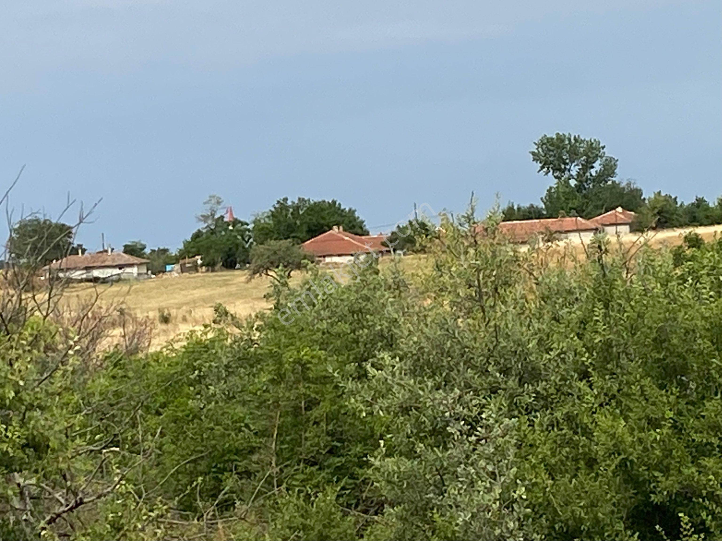 Tekirdağ Marmaraereğlısı Çeşmeli Sahibinden Satılık Arsa - Görsel 10