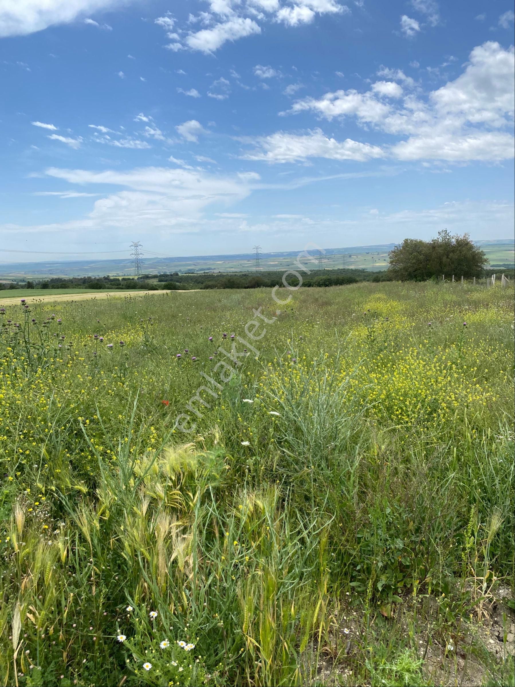 İstanbul Silivri Değirmenköy Sahibinden Satılık 92m2 Arsa - Görsel 13