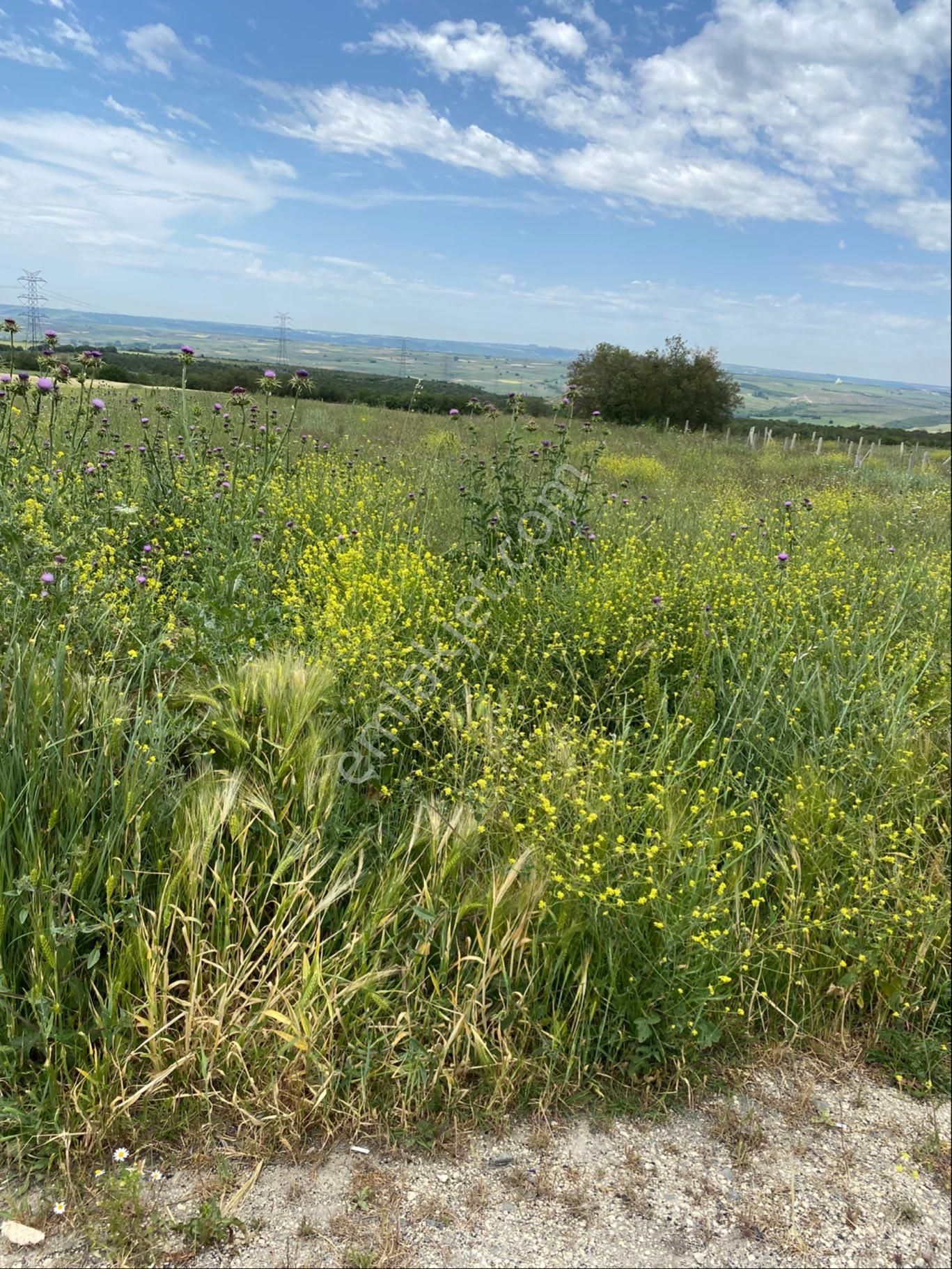 İstanbul Silivri Değirmenköy Sahibinden Satılık 92m2 Arsa - Görsel 18