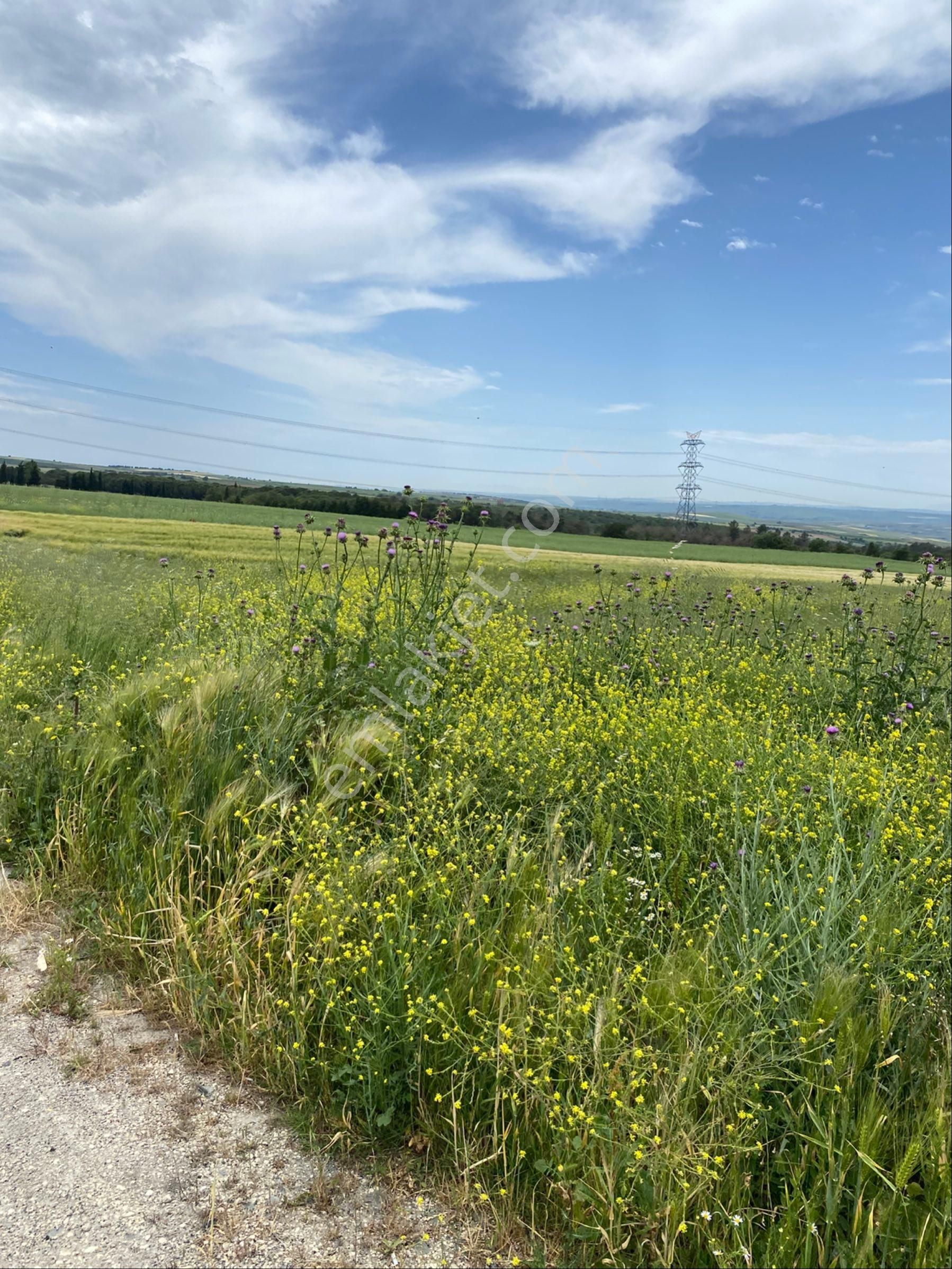 İstanbul Silivri Değirmenköy Sahibinden Satılık 92m2 Arsa - Görsel 15