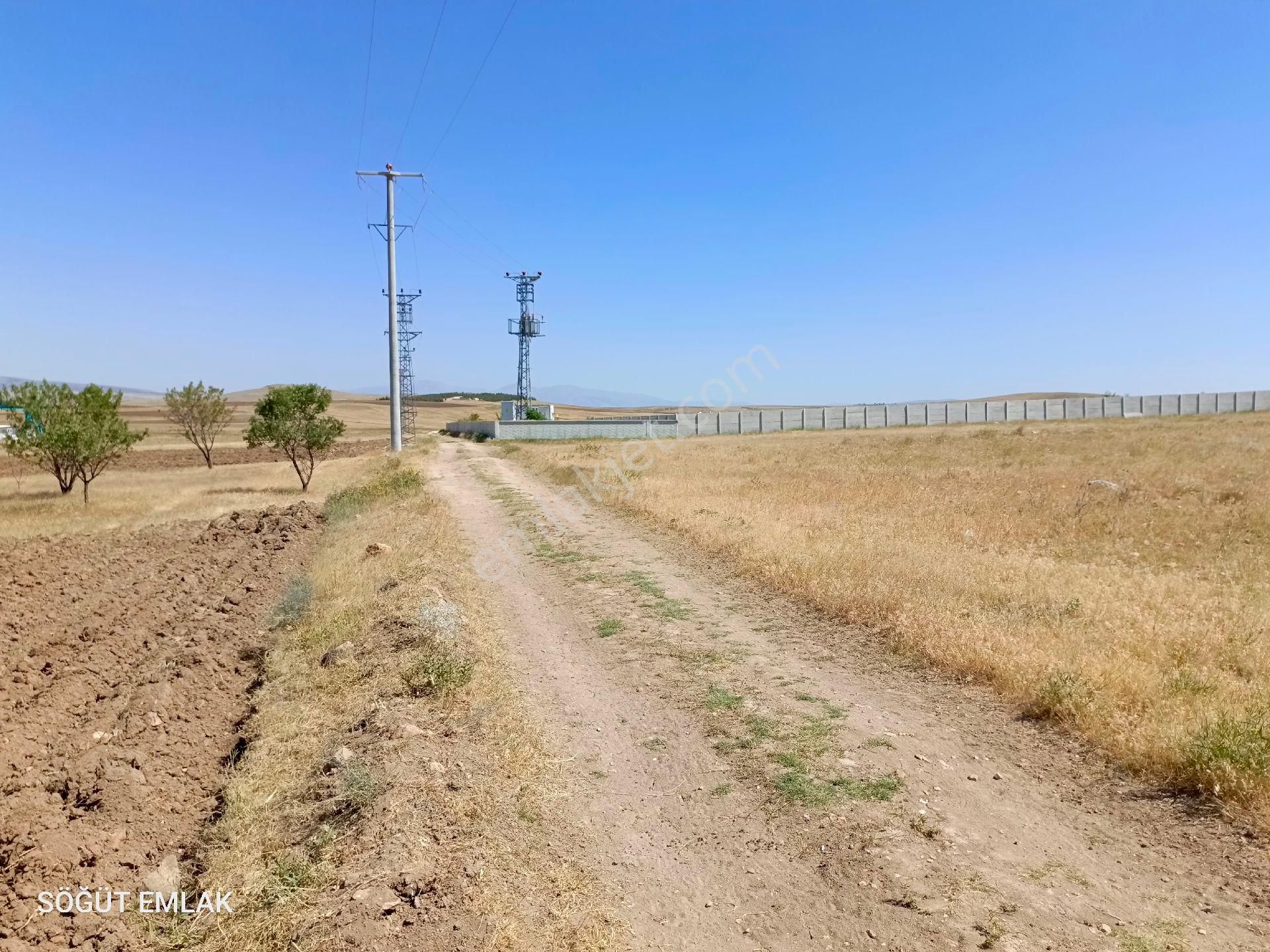Söğüt Emlak'tan Gebeceler Yoluna Yakın İmarlı - Görsel 4