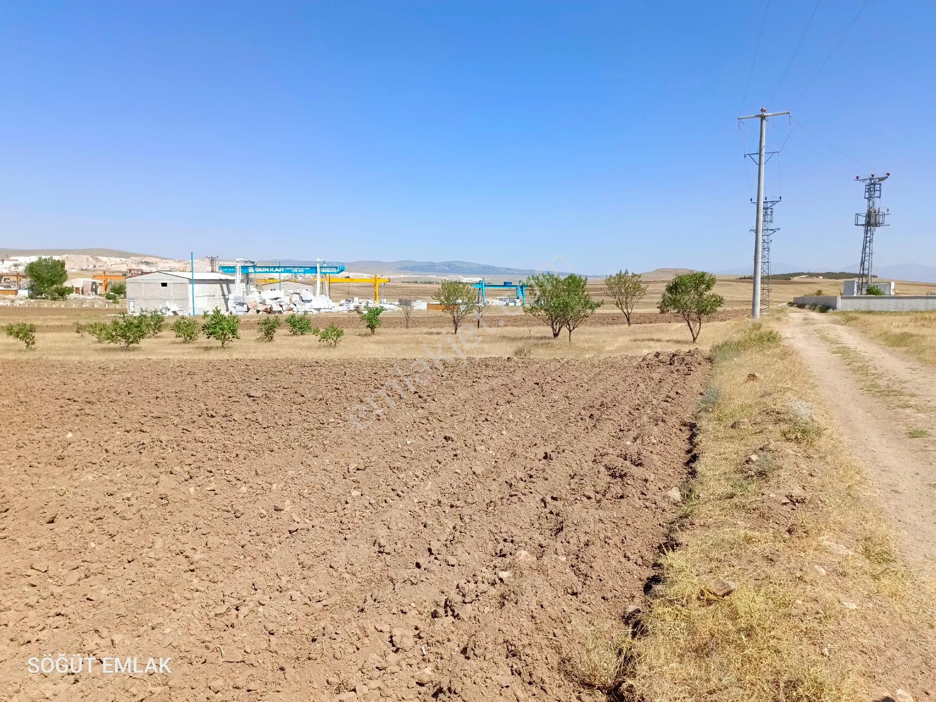 Söğüt Emlak'tan Gebeceler Yoluna Yakın İmarlı - Görsel 5