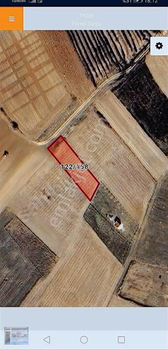 Tekırdag Saray Kurtderede Satılık 1091 M2 Bağ Yeri