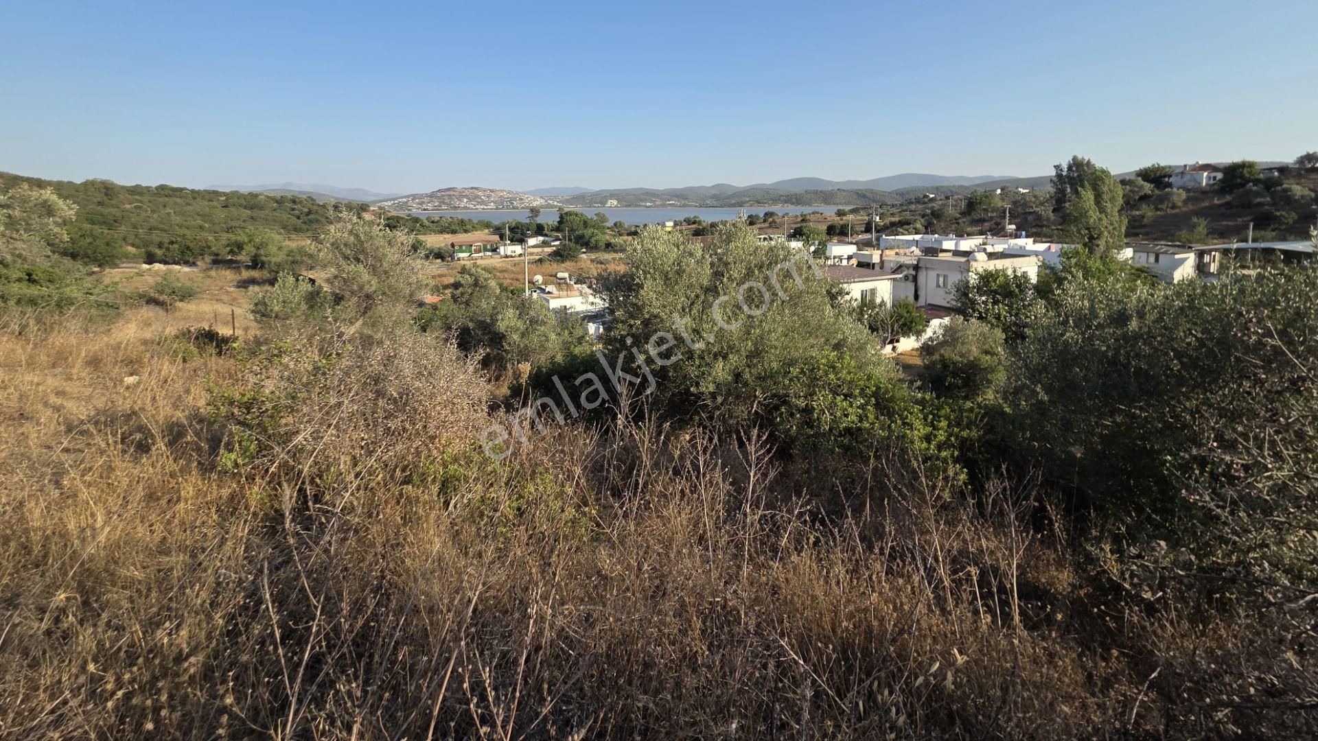 Milas Boğaziçi'nde Göl Manzaralı Yatırımlık Satıllık Arsa - Görsel 4