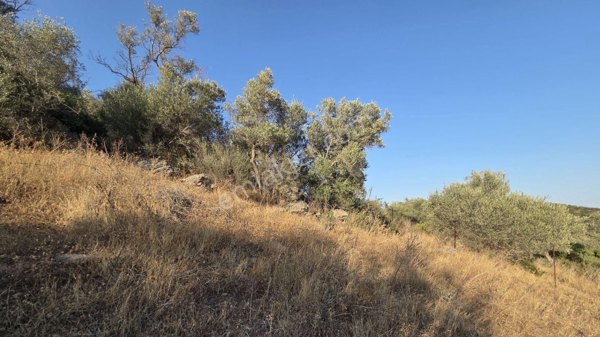 Milas Boğaziçi'nde Göl Manzaralı Yatırımlık Satıllık Arsa - Görsel 15