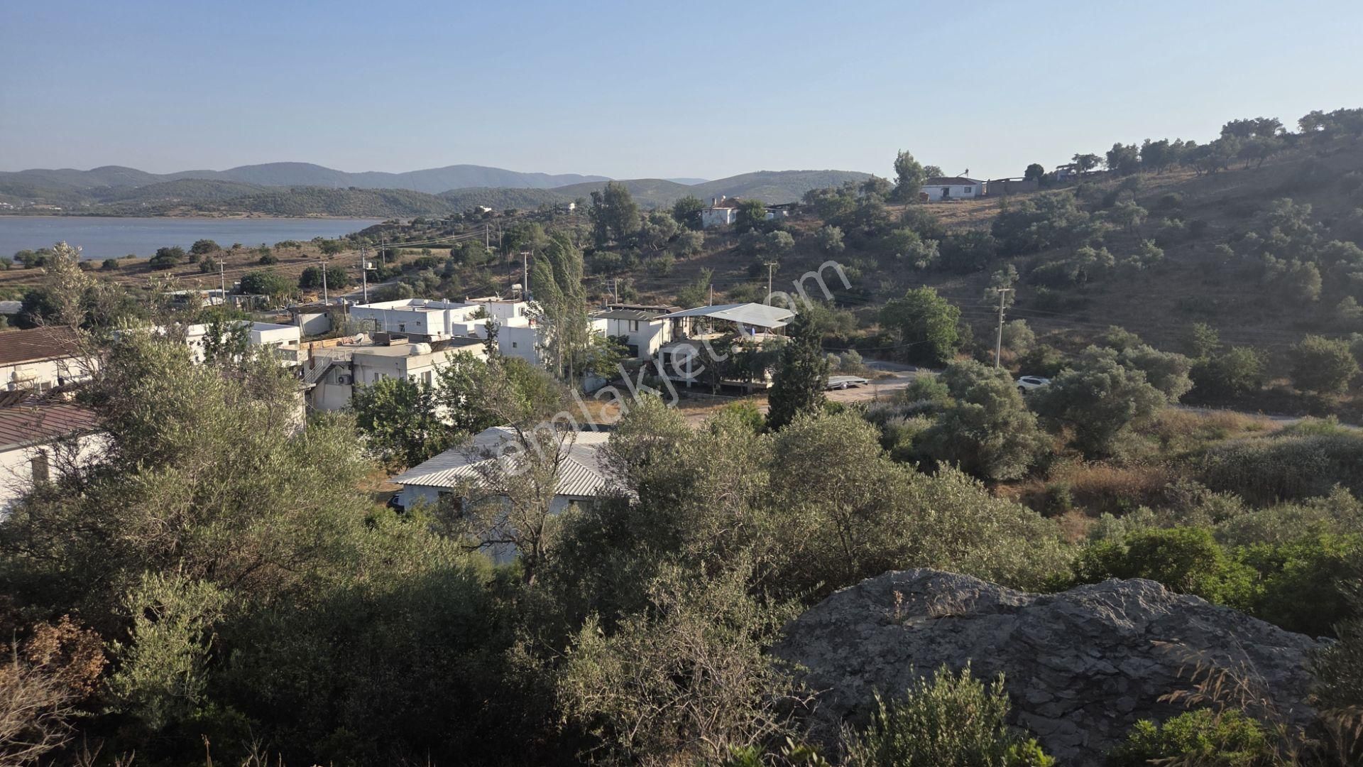 Milas Boğaziçi'nde Göl Manzaralı Yatırımlık Satıllık Arsa - Görsel 5