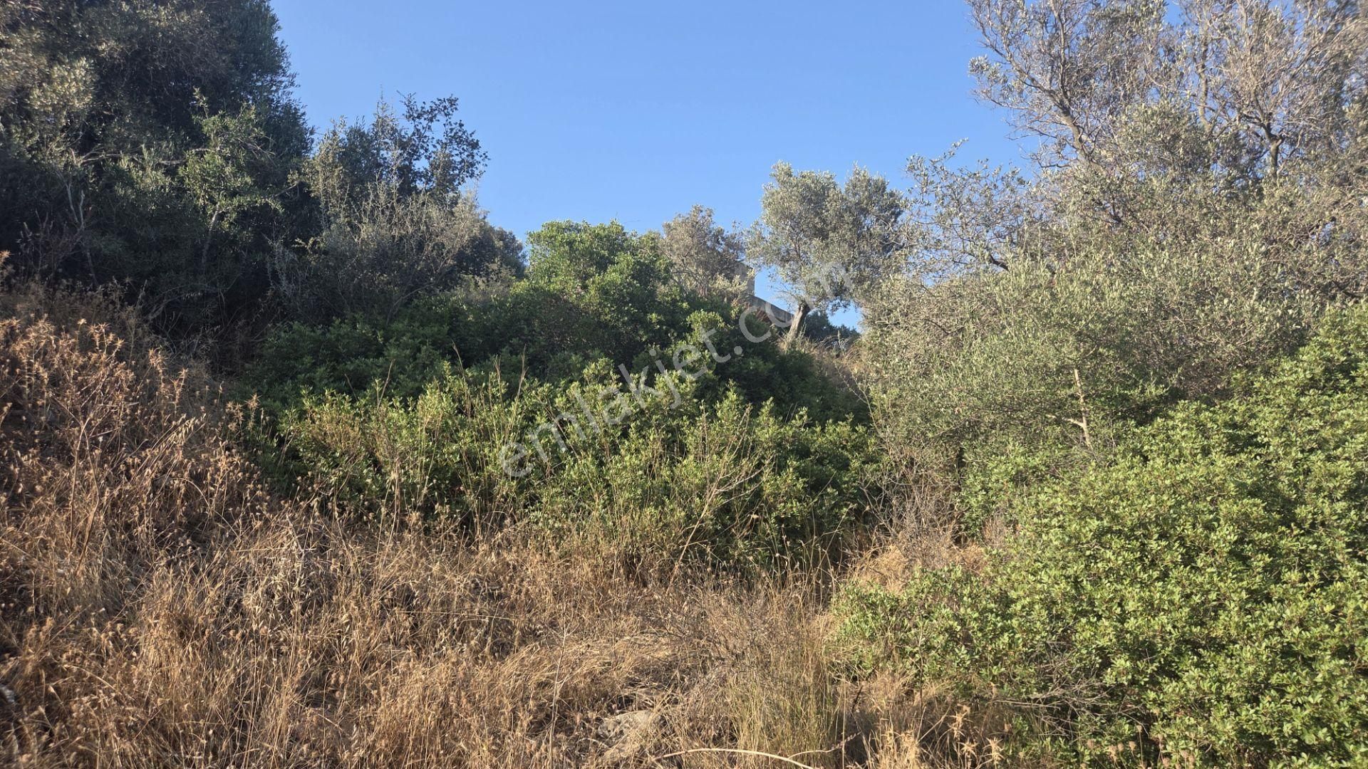 Milas Boğaziçi'nde Göl Manzaralı Yatırımlık Satıllık Arsa - Görsel 9