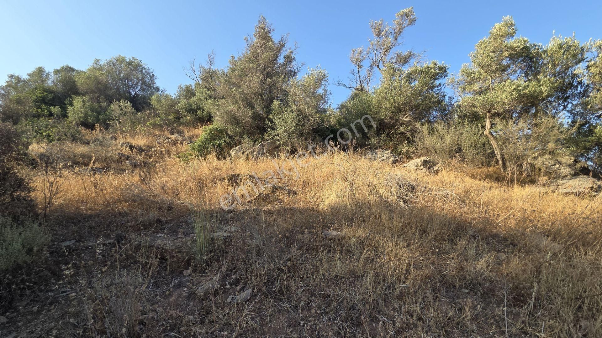 Milas Boğaziçi'nde Göl Manzaralı Yatırımlık Satıllık Arsa - Görsel 8