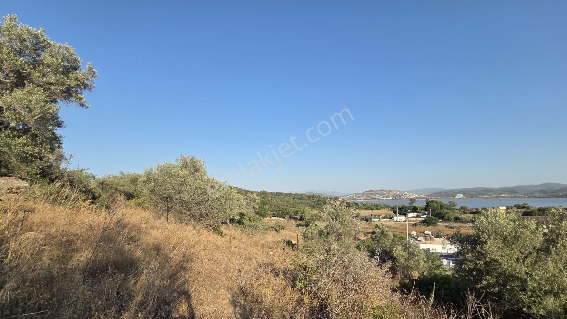 Milas Boğaziçi'nde Göl Manzaralı Yatırımlık Satıllık Arsa - Görsel 10