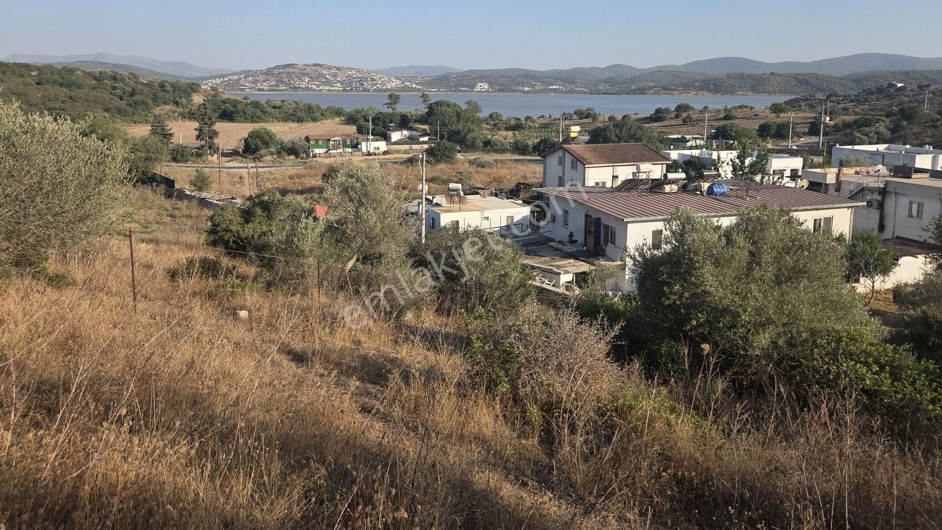 Milas Boğaziçi'nde Göl Manzaralı Yatırımlık Satıllık Arsa - Görsel 7