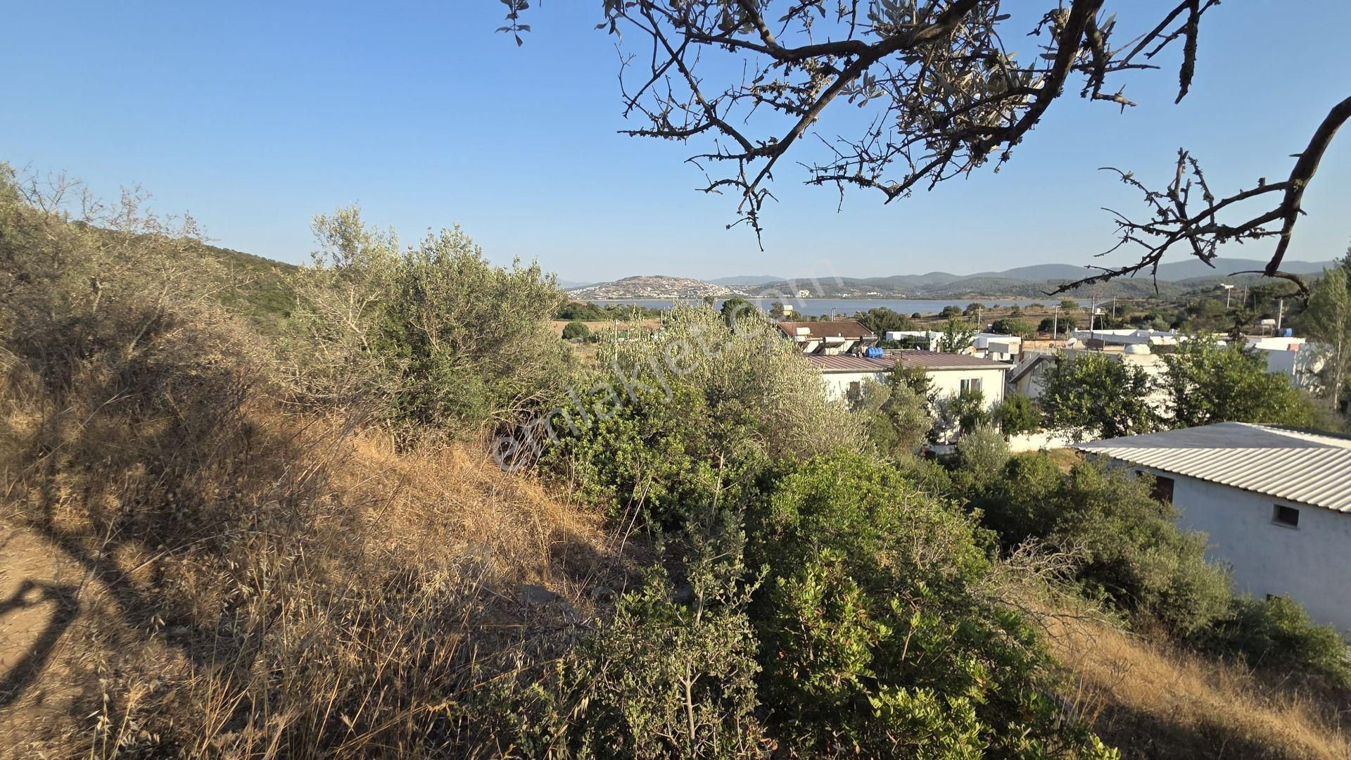 Milas Boğaziçi'nde Göl Manzaralı Yatırımlık Satıllık Arsa - Görsel 13