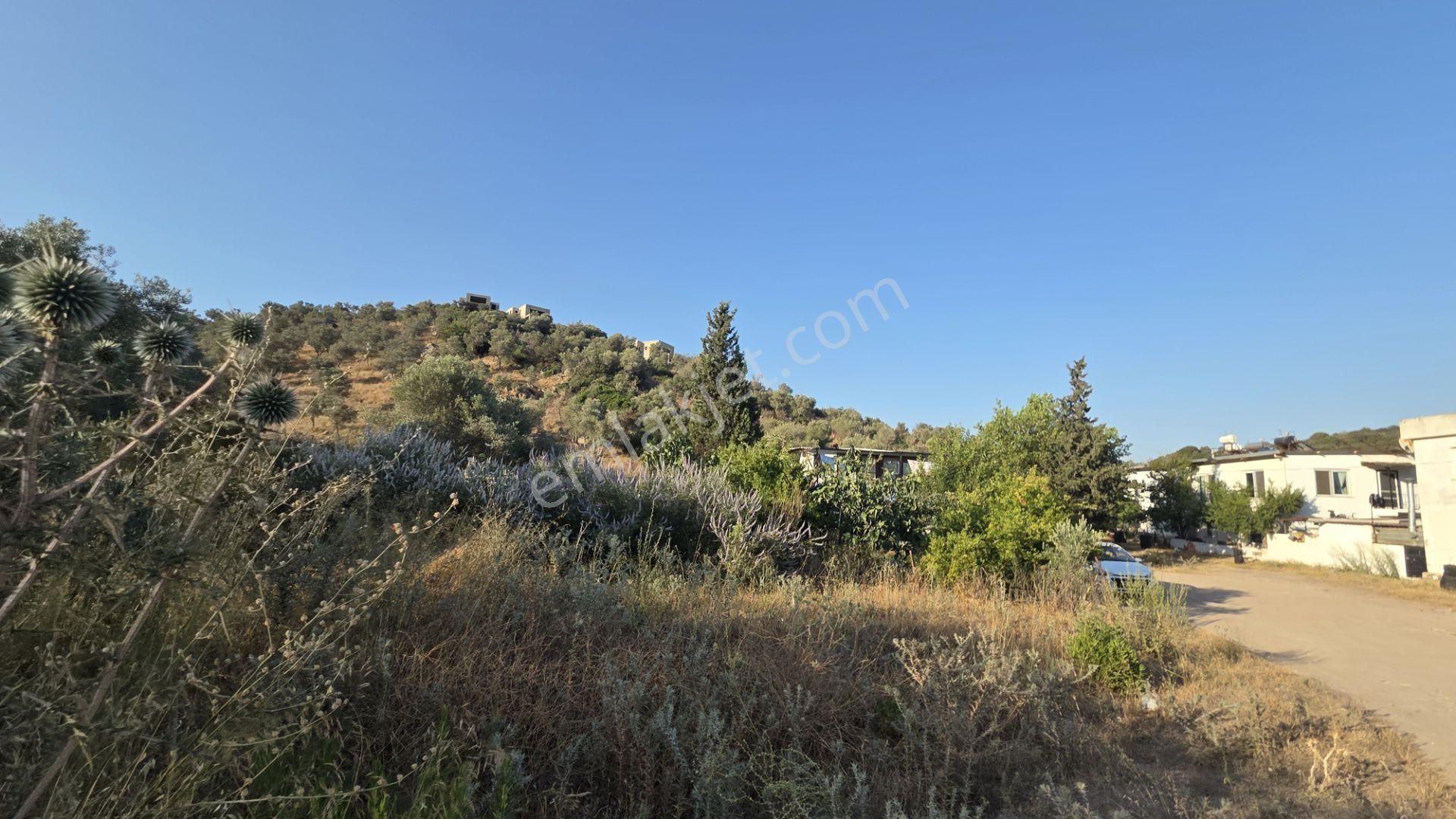 Milas Boğaziçi'nde Göl Manzaralı Yatırımlık Satıllık Arsa - Görsel 11