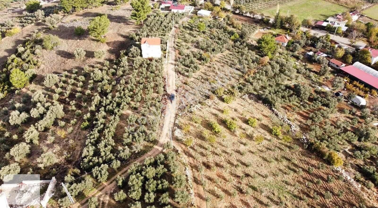 Seydikemer Kayadibi Mahallesinde 1712 M2 Satılık Tarla